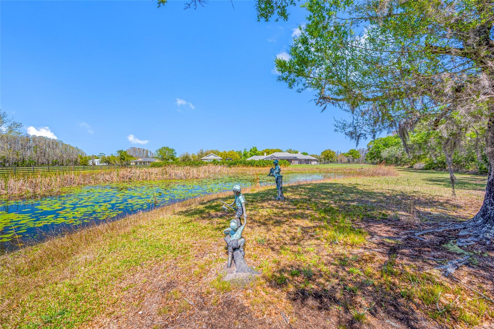 11939 PASCO TRAILS BLVD — photo 58