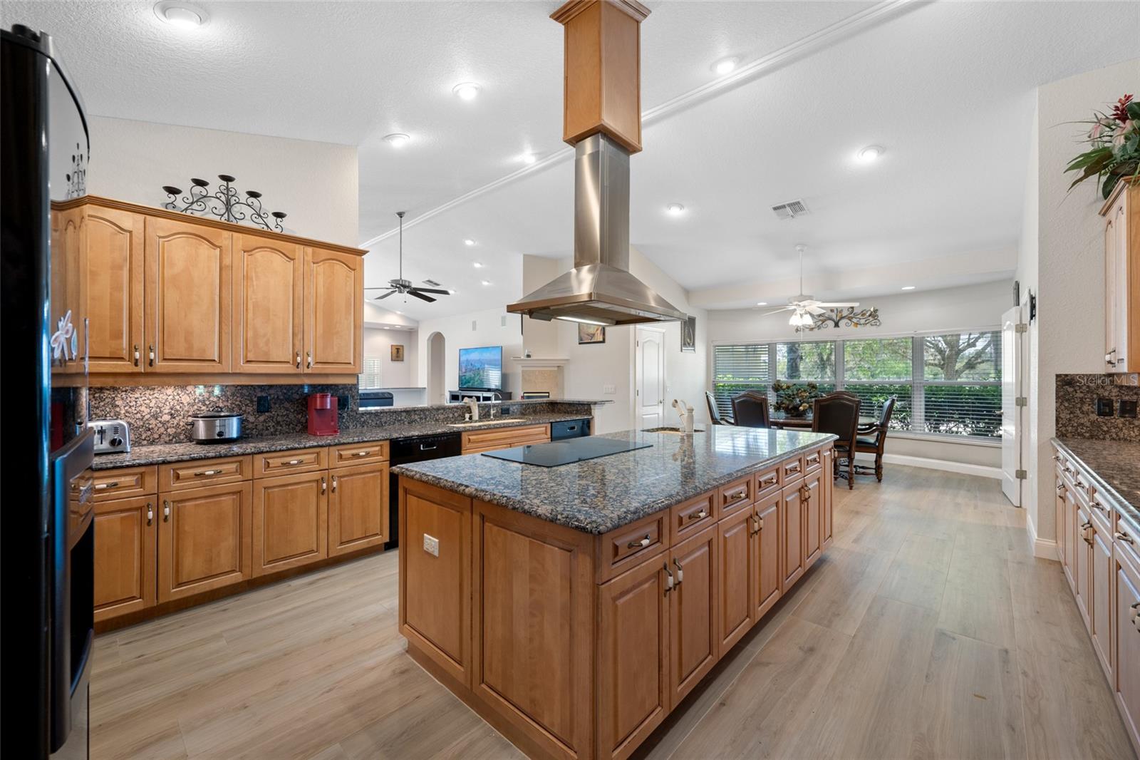 11939 PASCO TRAILS BLVD — photo 36