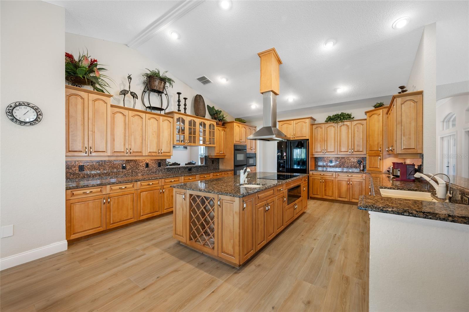 11939 PASCO TRAILS BLVD — photo 34