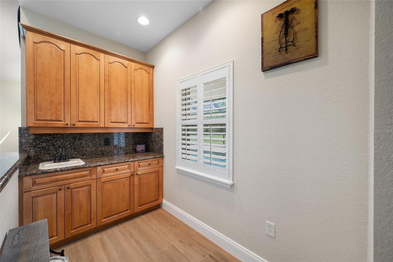 11939 PASCO TRAILS BLVD — photo 32