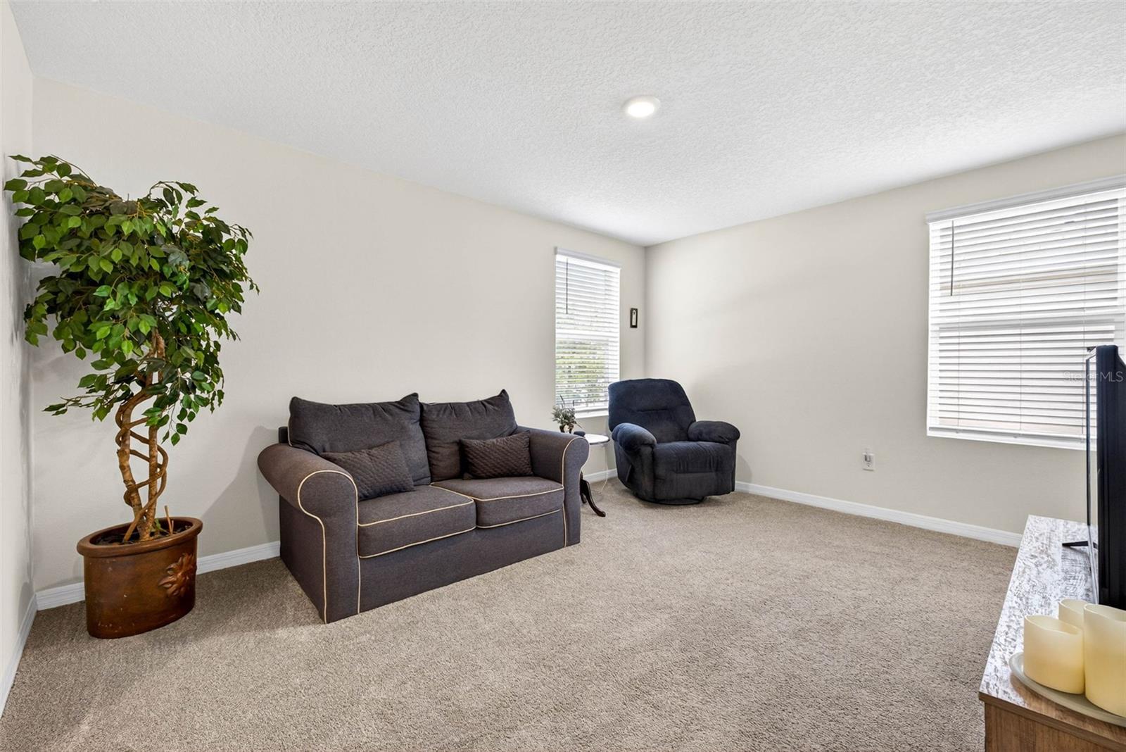13765 WHISKEY DAISY DR — photo 20