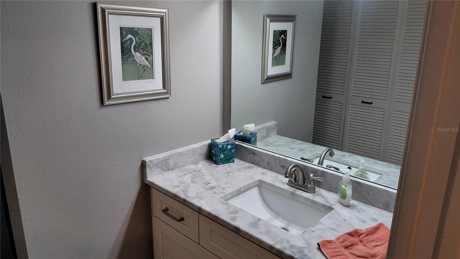 146 WILD PALM DR #146 — photo 12