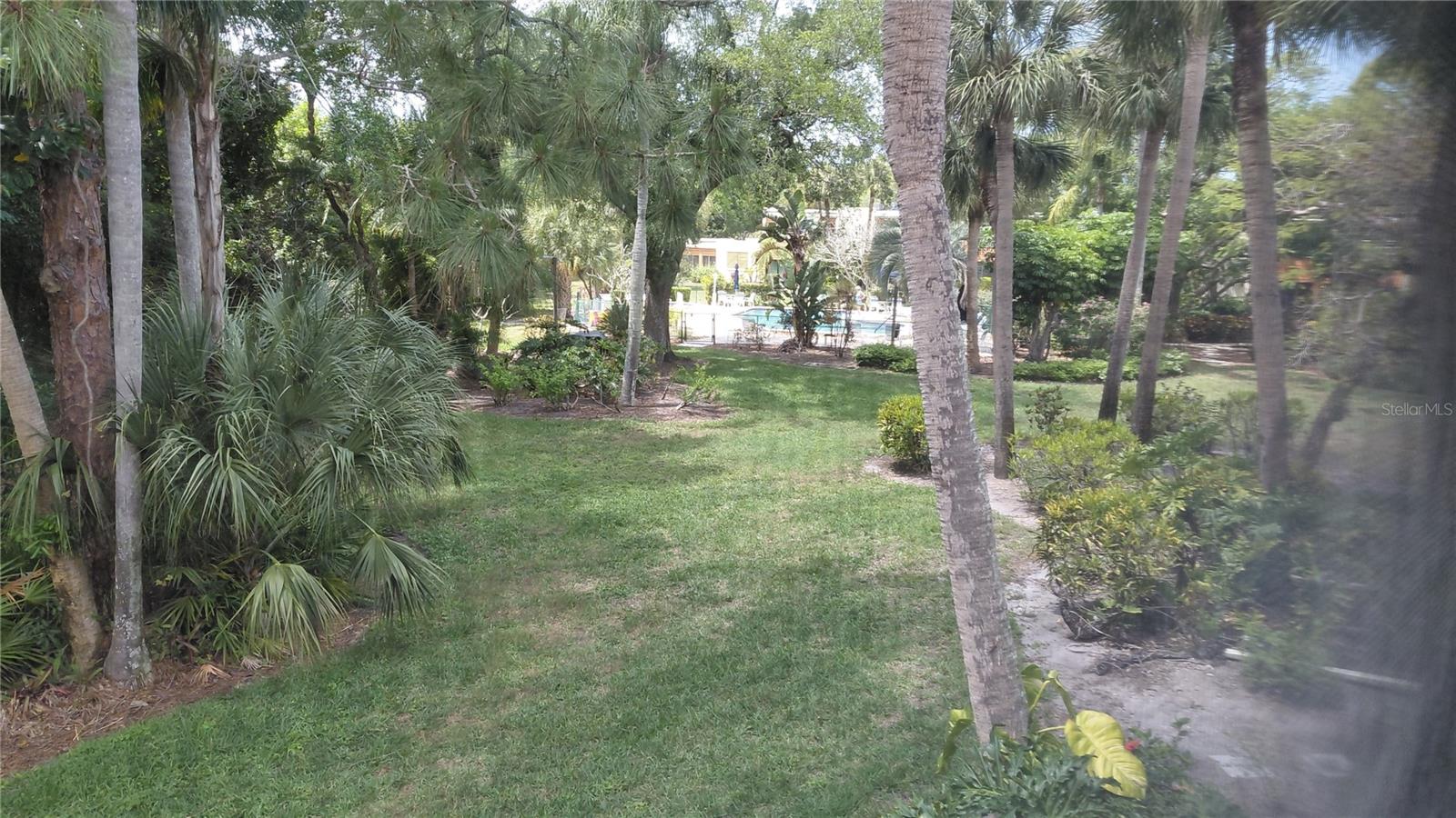 146 WILD PALM DR #146 — photo 9