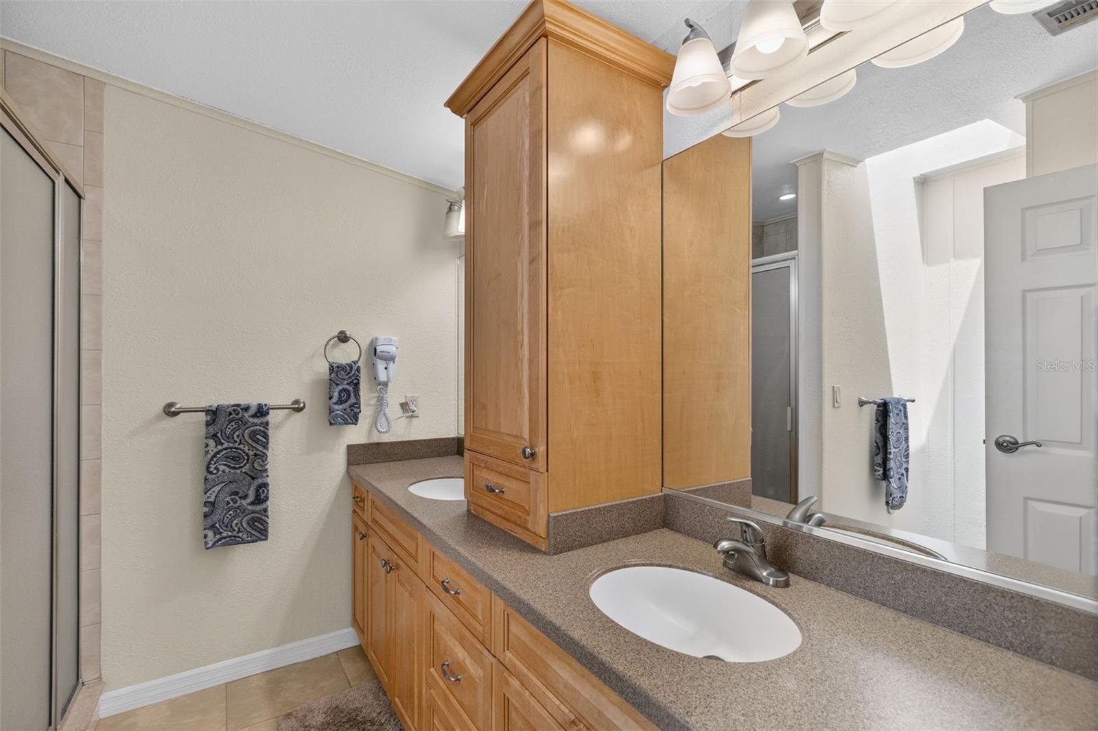209 VISTORIA DR — photo 21