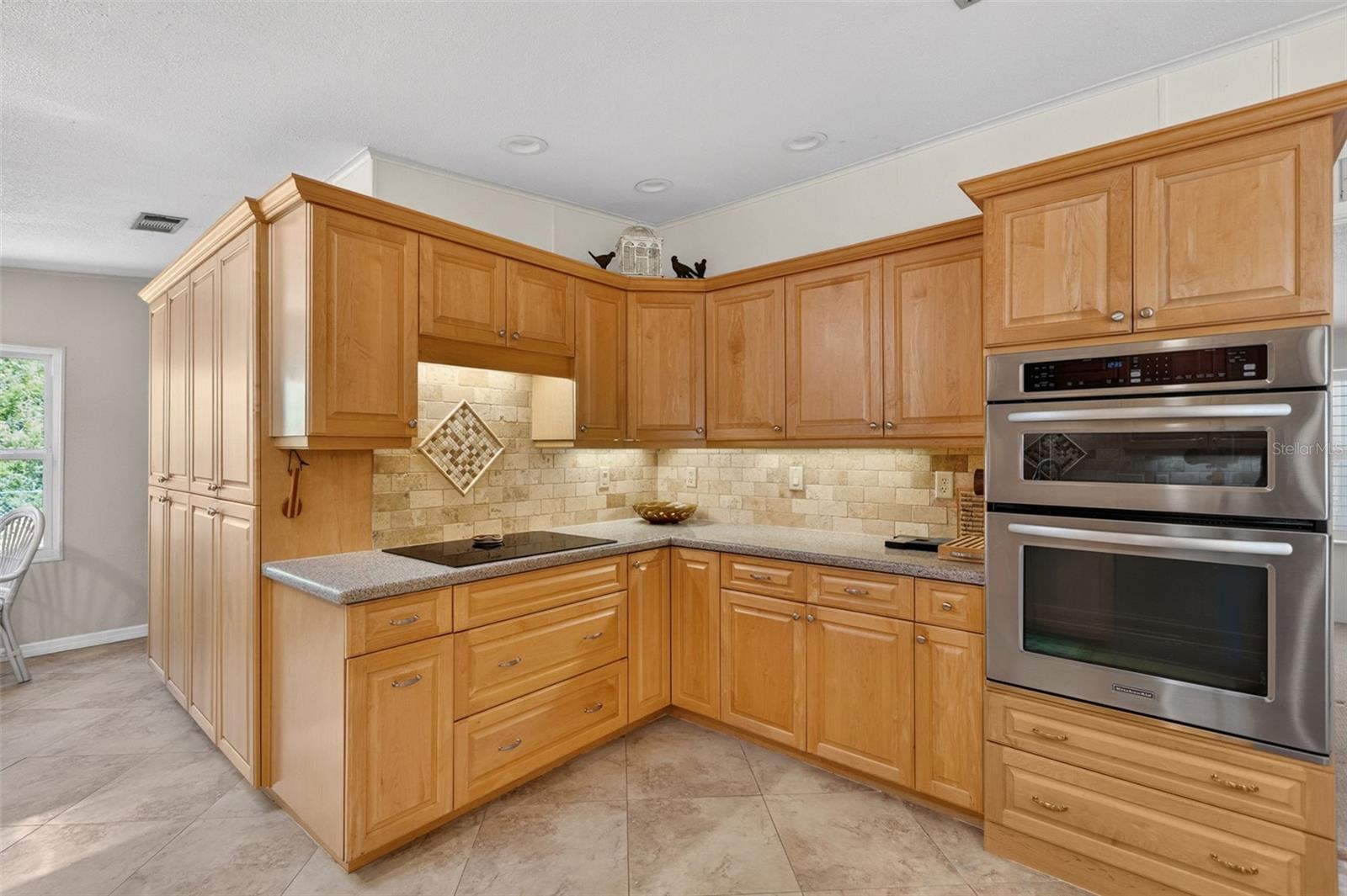 209 VISTORIA DR — photo 8