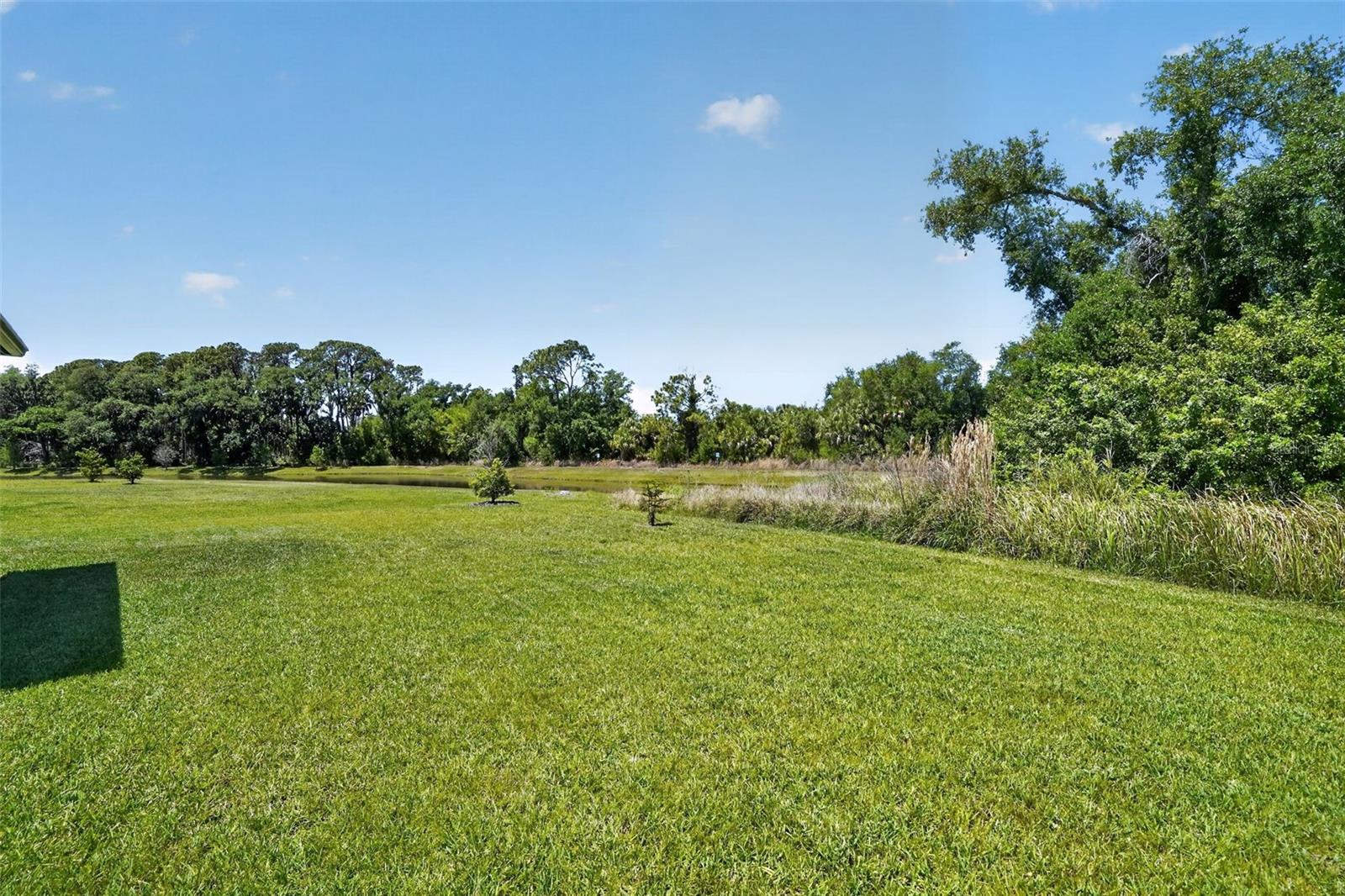 8131 TEA OLIVE TER — photo 26