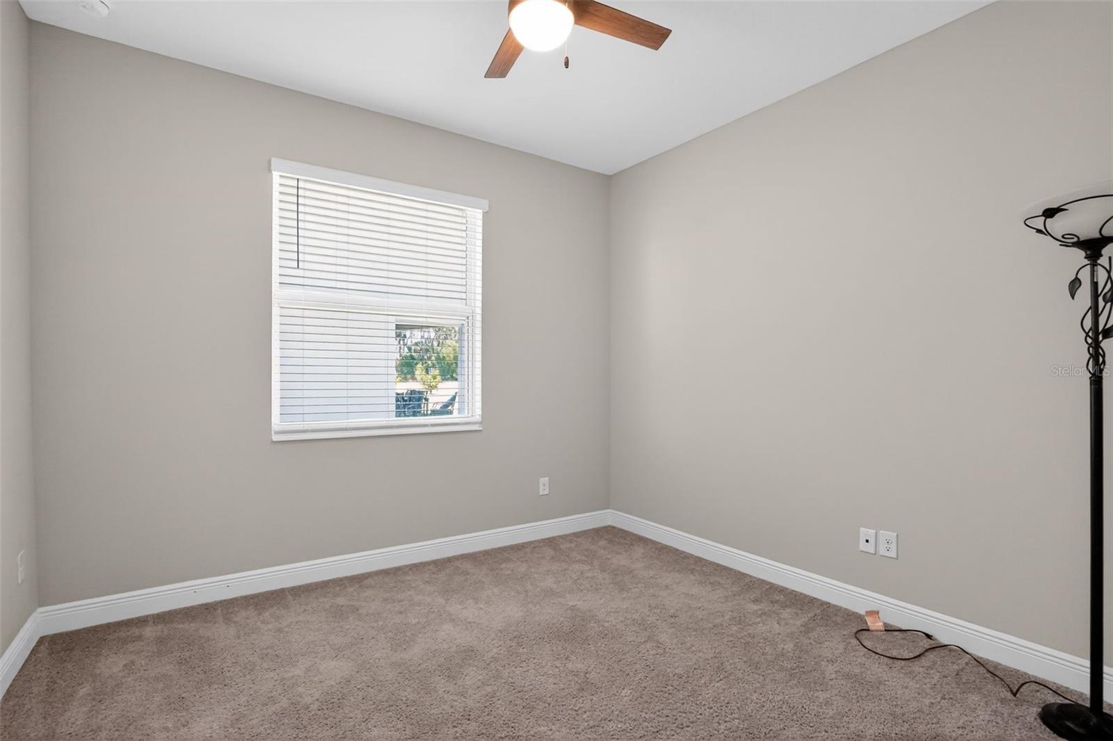 8131 TEA OLIVE TER — photo 8