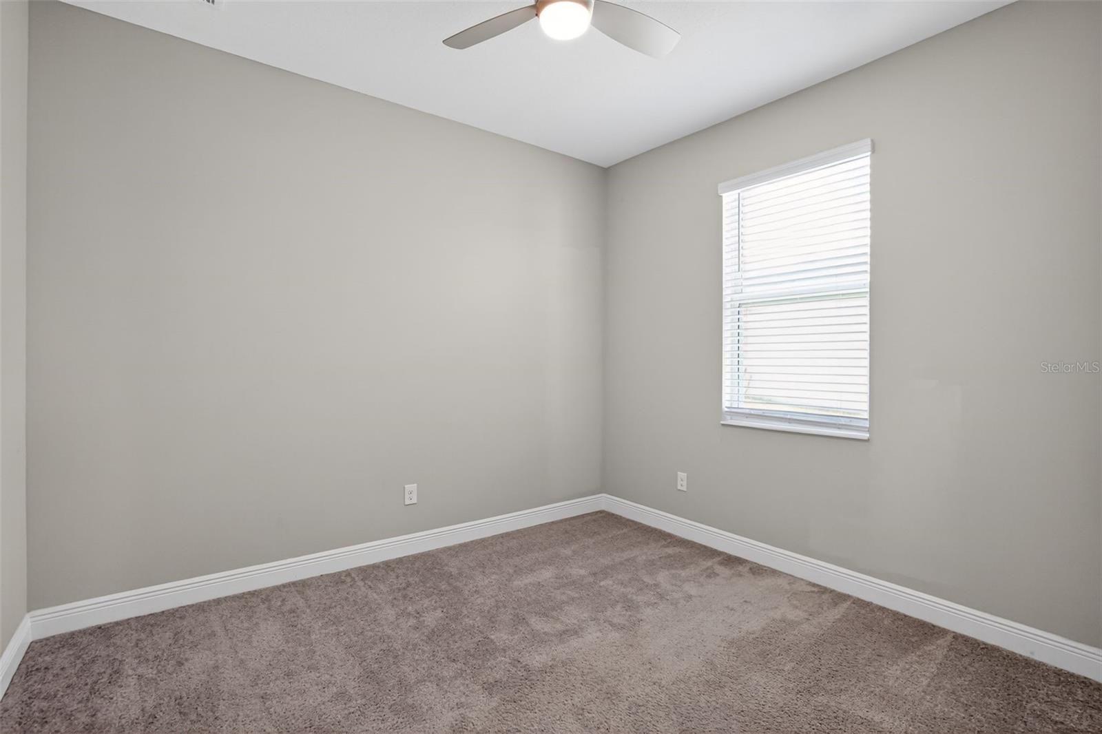 8131 TEA OLIVE TER — photo 9