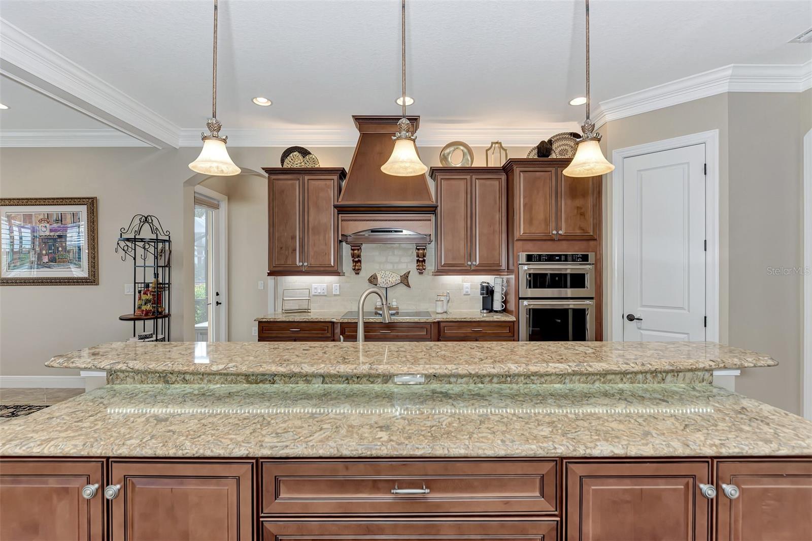 10965 BULLRUSH DR — photo 21