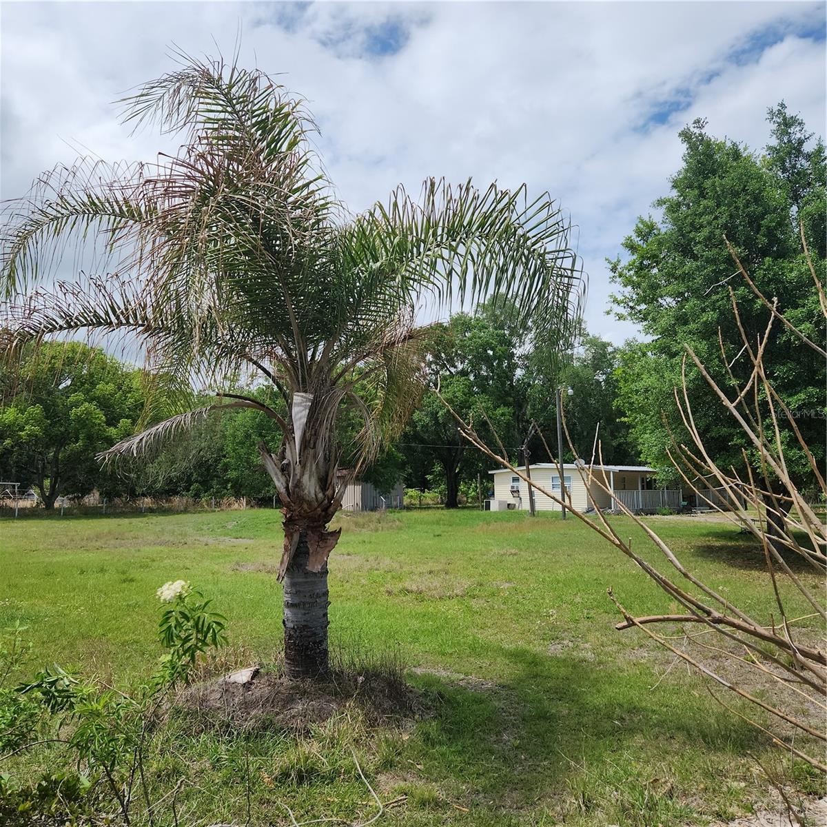 26739 FOAMFLOWER BLVD — photo 14