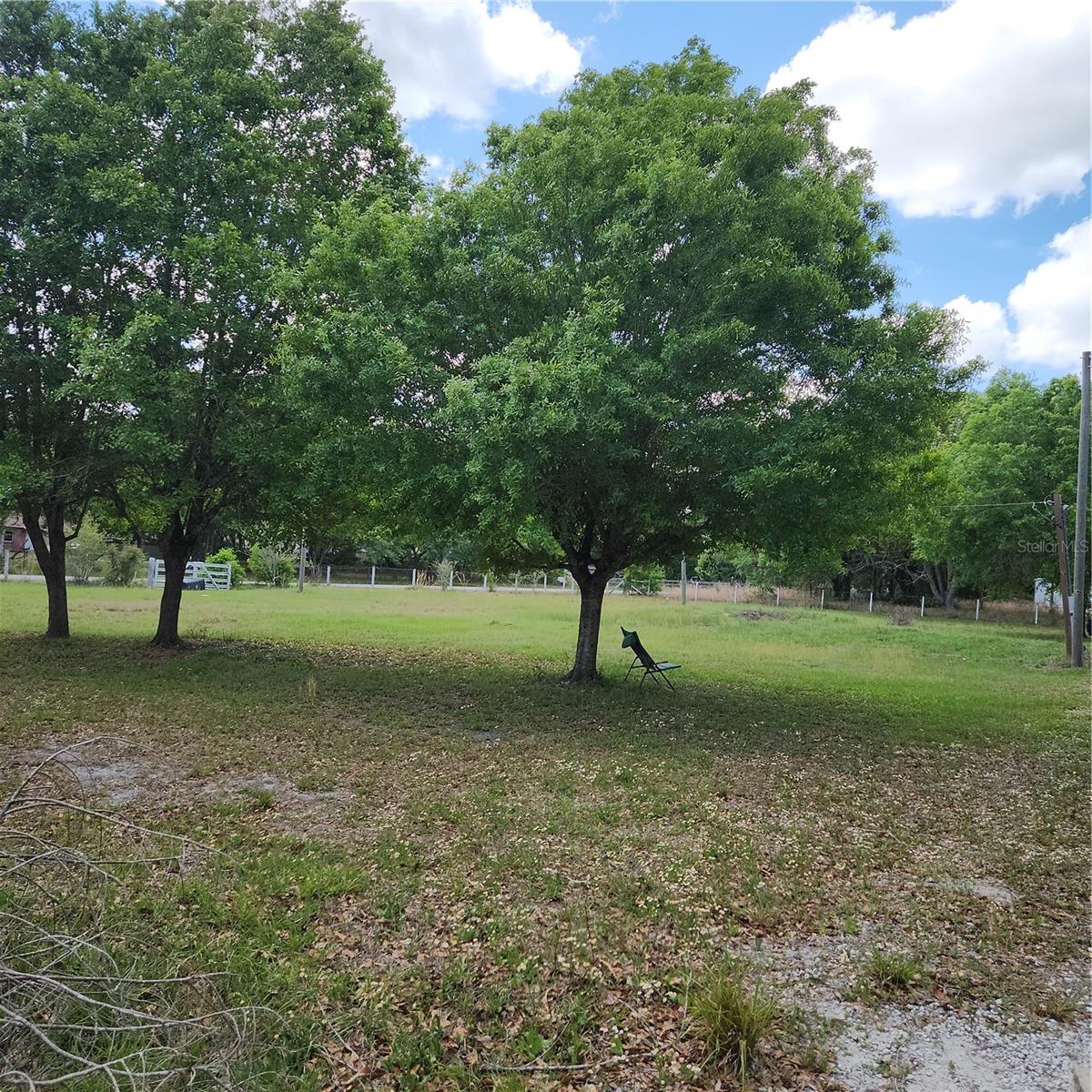 26739 FOAMFLOWER BLVD — photo 13