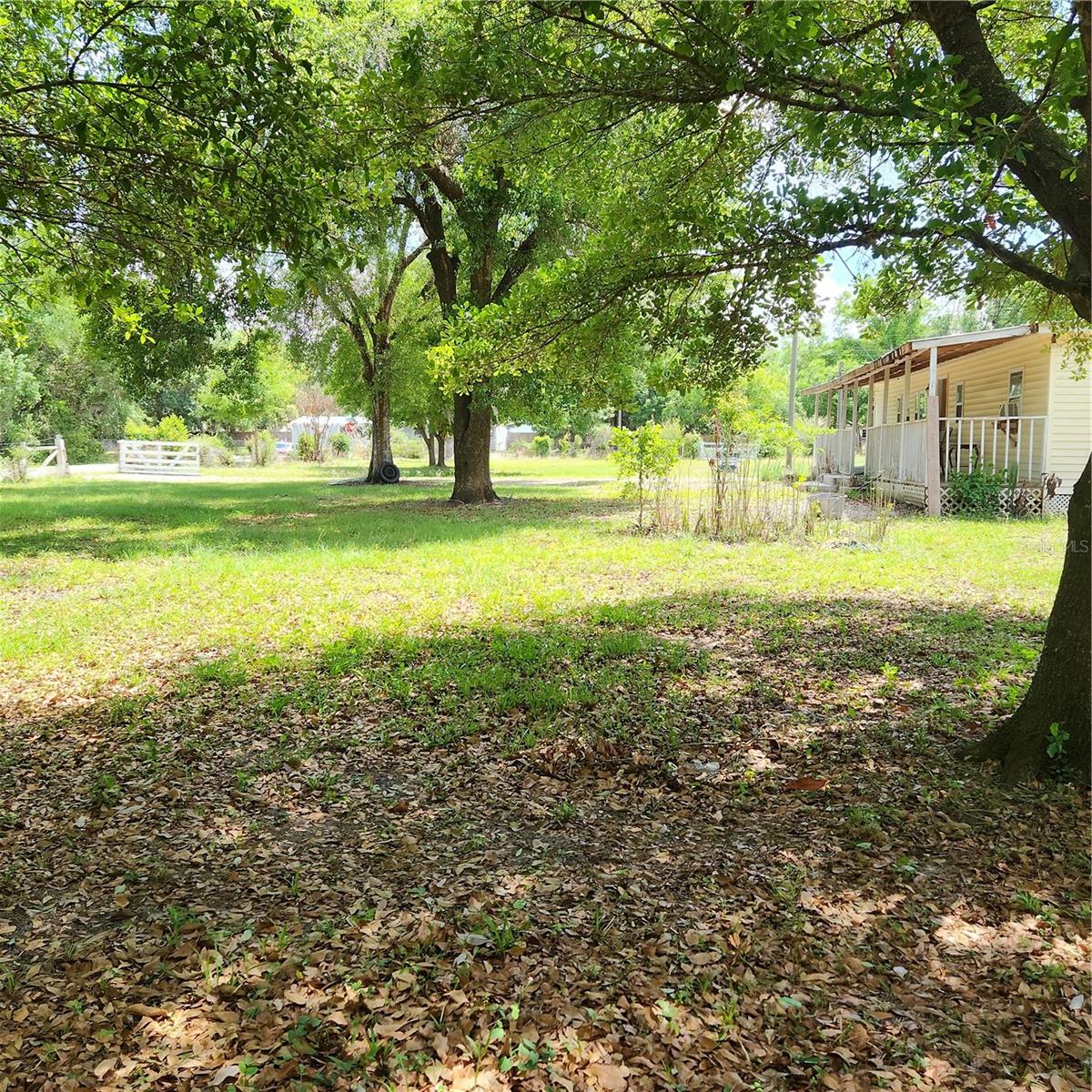 26739 FOAMFLOWER BLVD — photo 25
