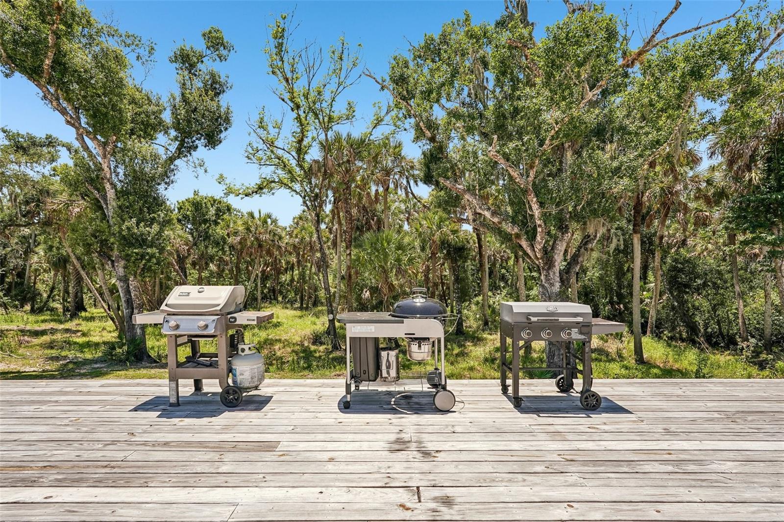 5361 MYAKKA VALLEY TRL — photo 41