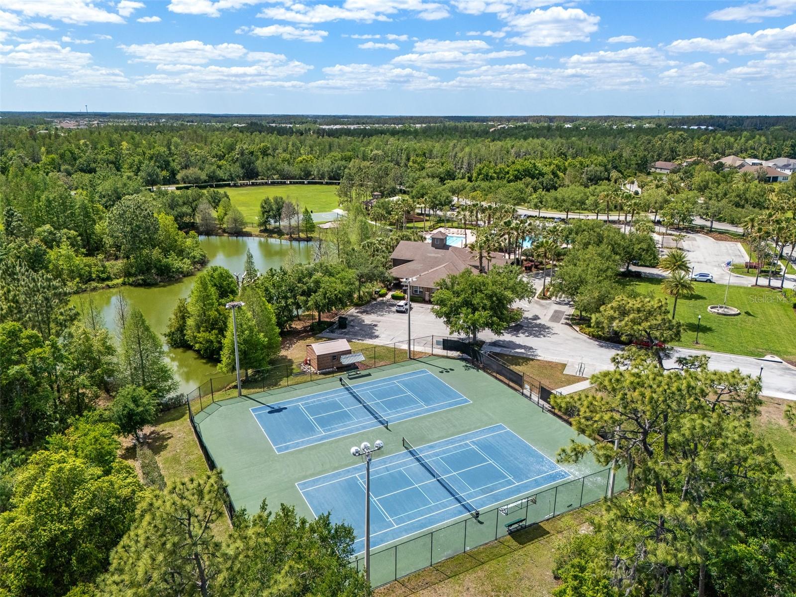 4501 ROLLING GREEN DR — photo 41