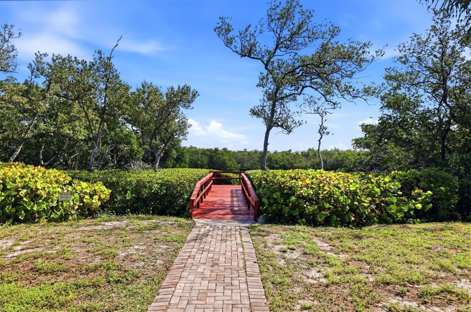 9528 ANTIQUA CV #9528 — photo 55
