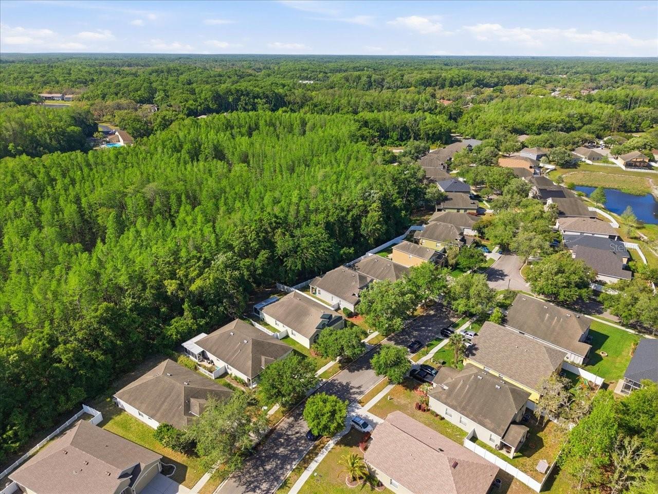 11844 COLONY LAKES BLVD — photo 47