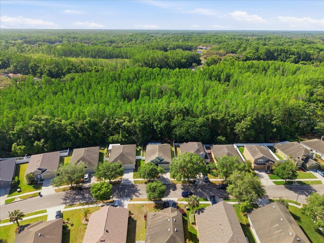 11844 COLONY LAKES BLVD — photo 46