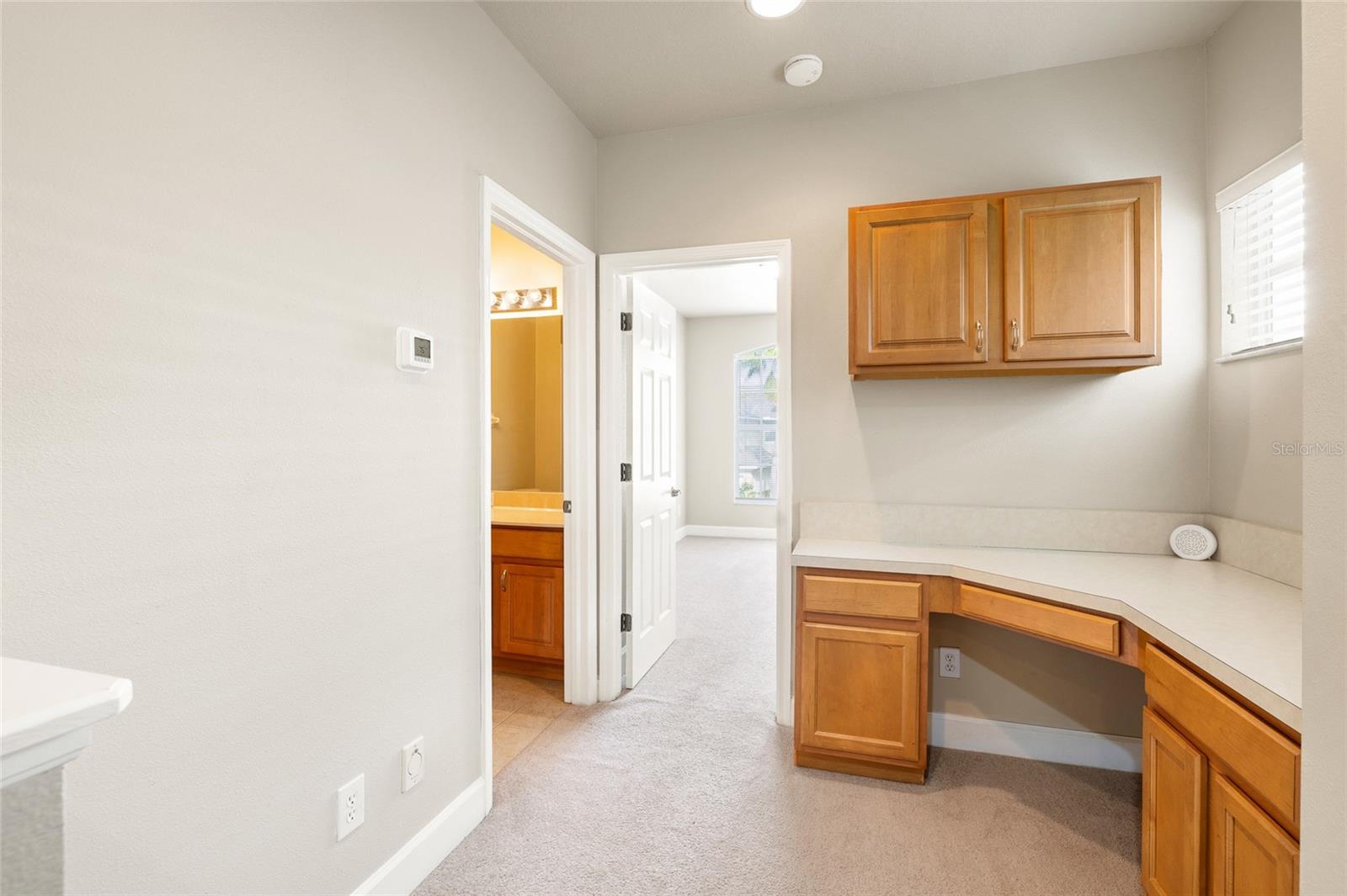 14543 MIRABELLE VISTA CIR — photo 17