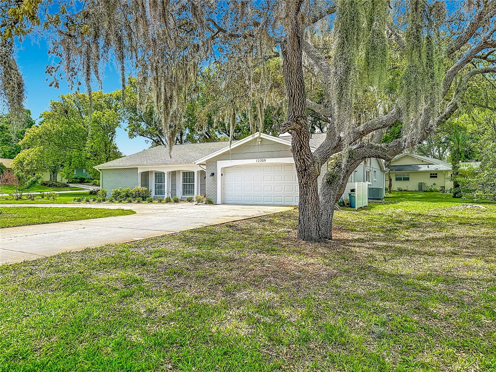 12709 CASTLEBERRY CT — photo 5