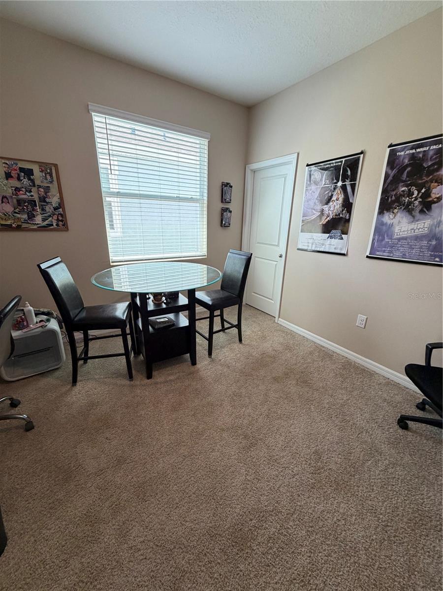 31406 MANGO FADE WAY — photo 11