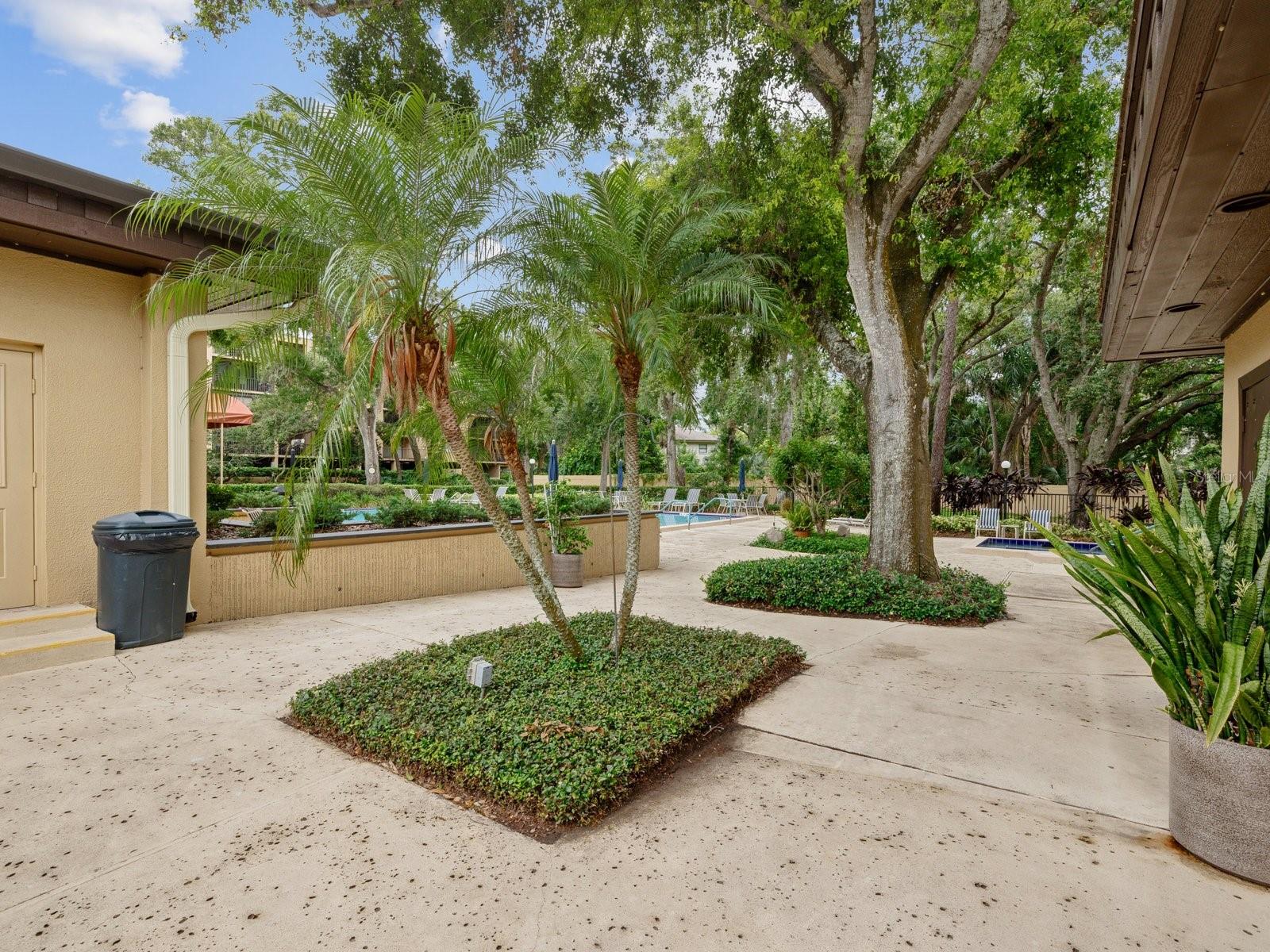 3078 EASTLAND BLVD #309 — photo 48