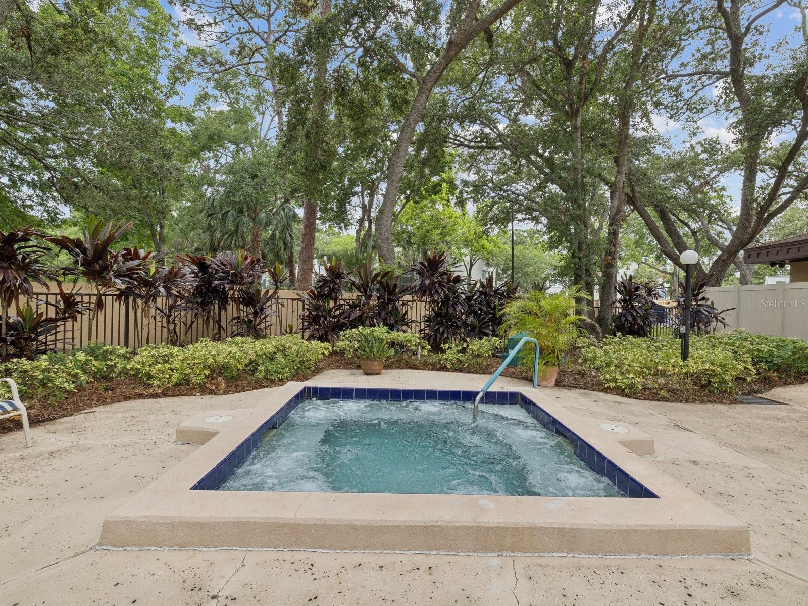 3078 EASTLAND BLVD #309 — photo 46