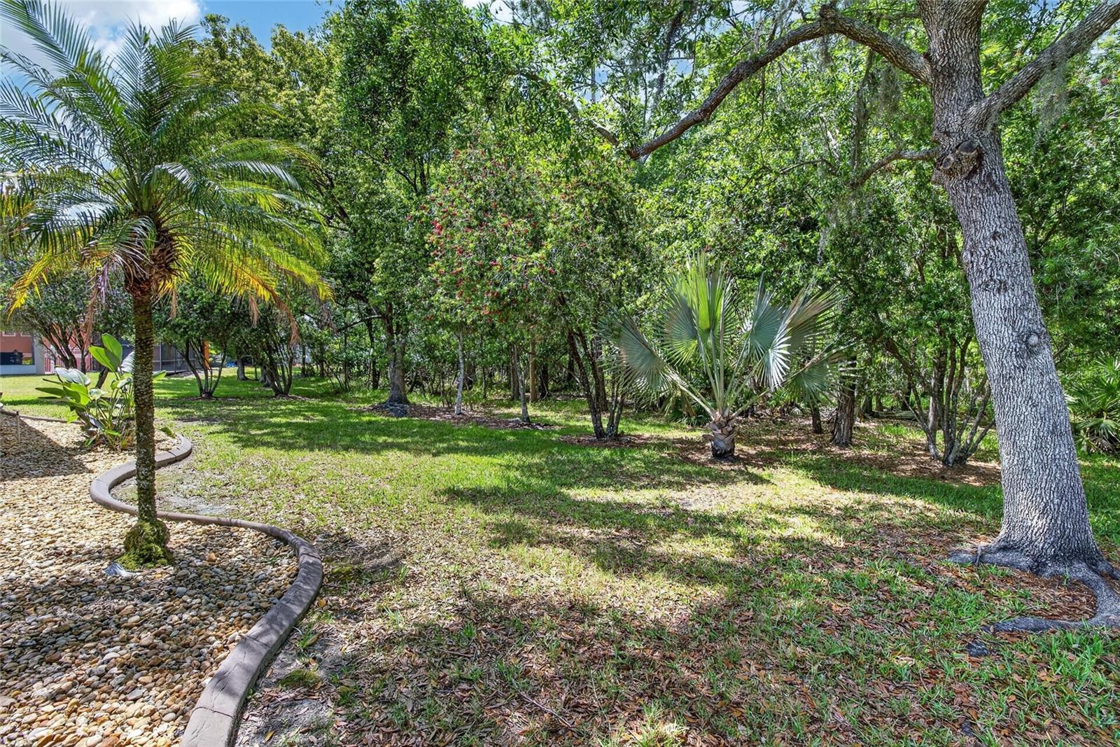 21234 TANGOR RD — photo 52