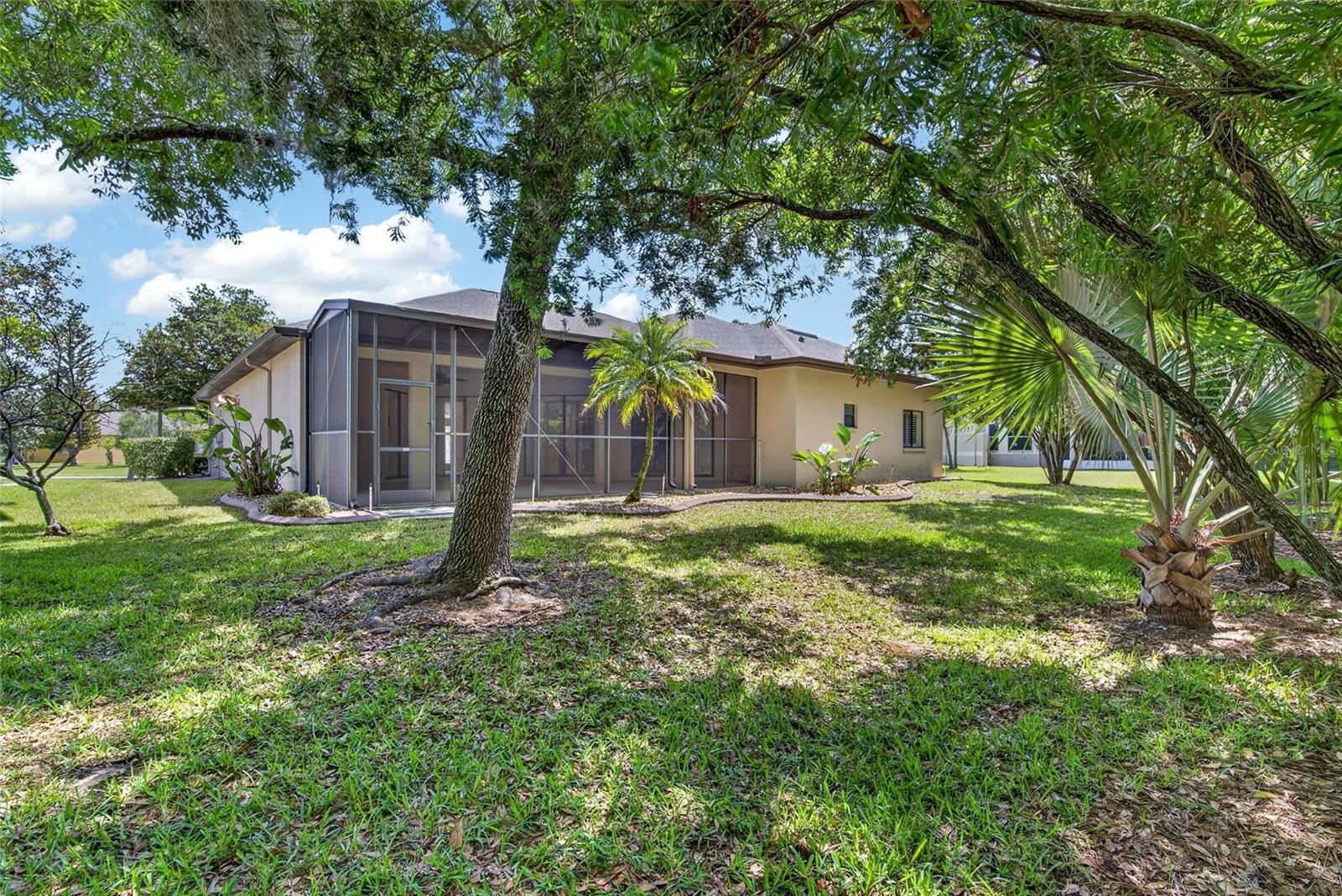 21234 TANGOR RD — photo 51