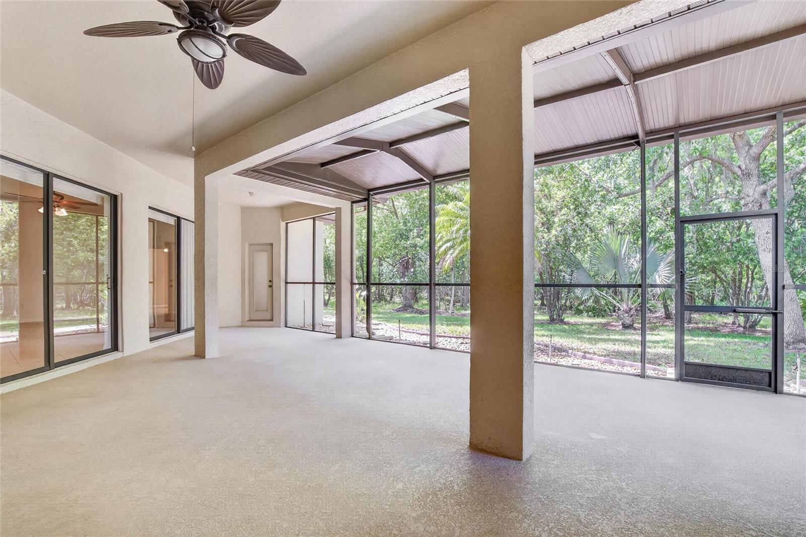 21234 TANGOR RD — photo 45