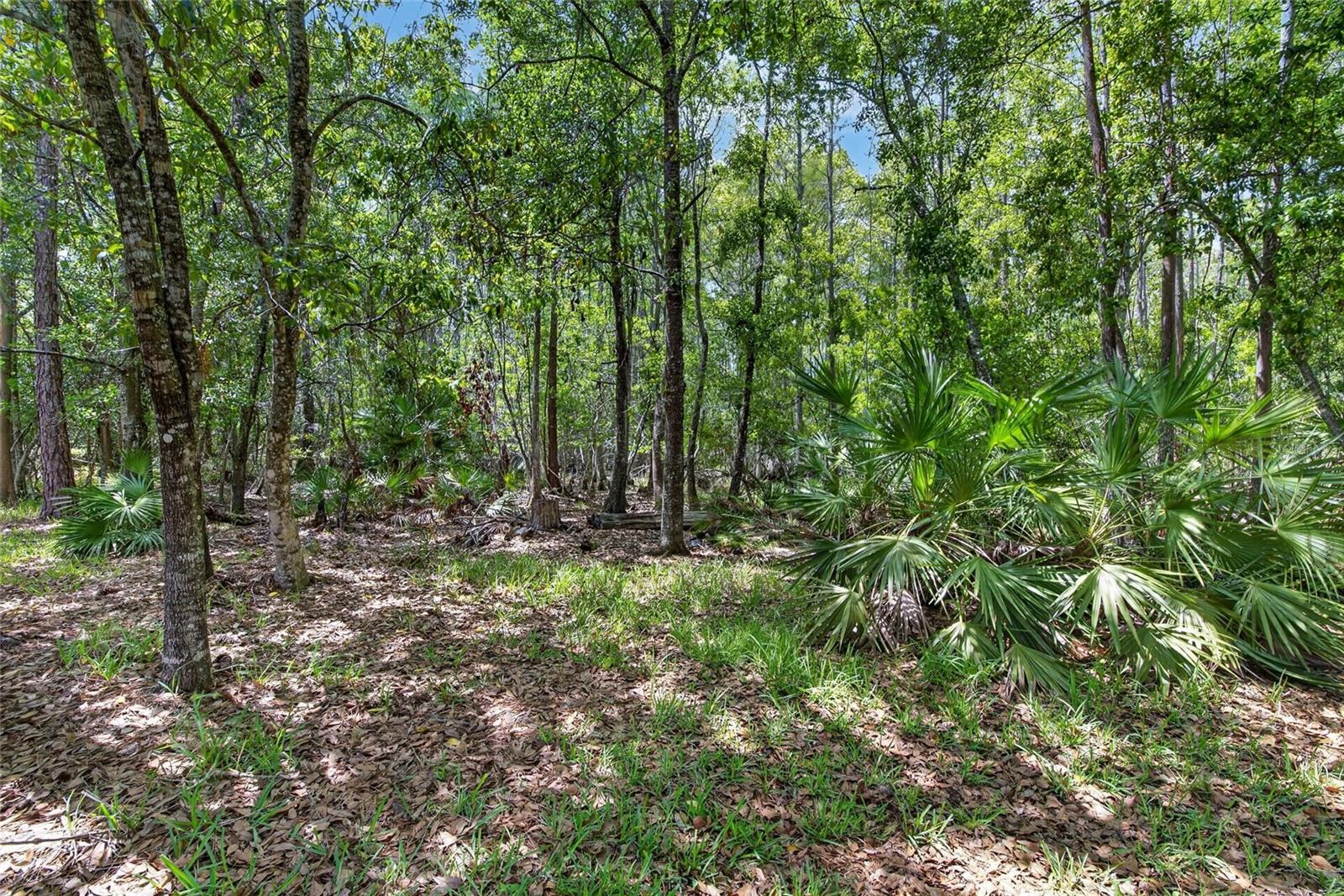 21234 TANGOR RD — photo 53