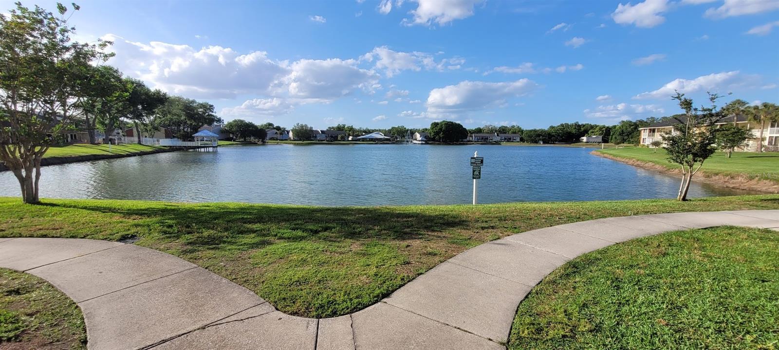 302 LAKE PARSONS GRN #102 — photo 14