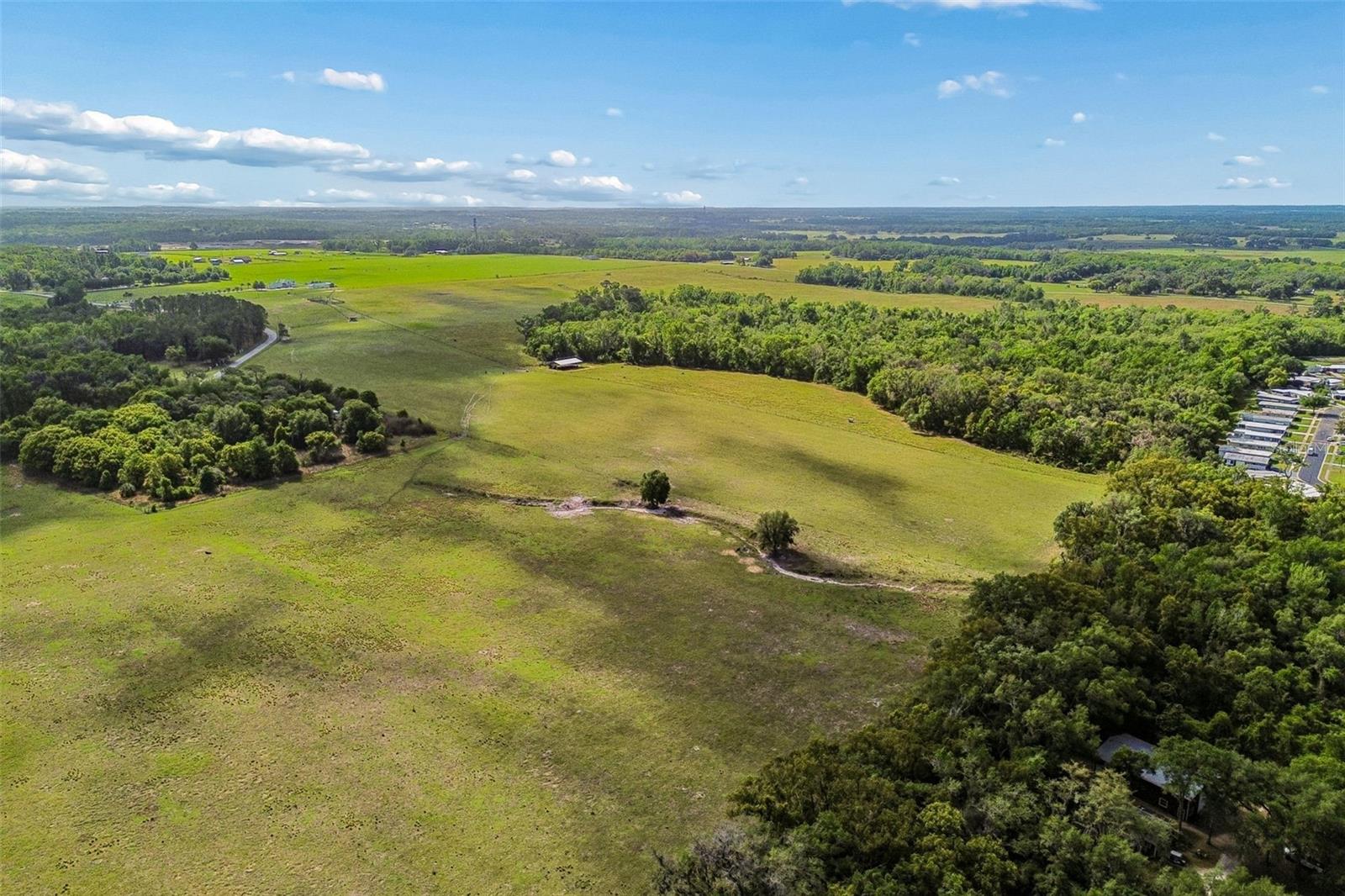 BAYHEAD ROAD #Lot 8 — photo 13
