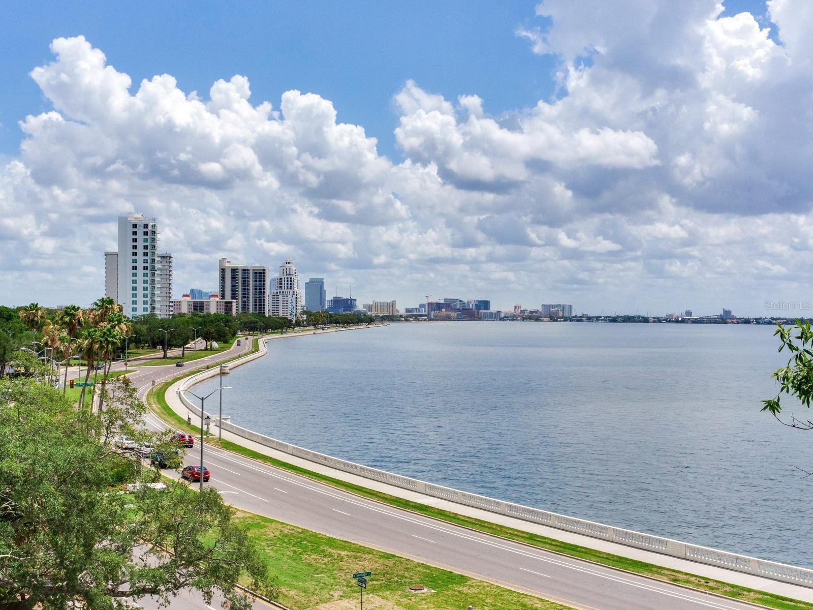 3101 W BAYSHORE BLVD #402 — photo 35