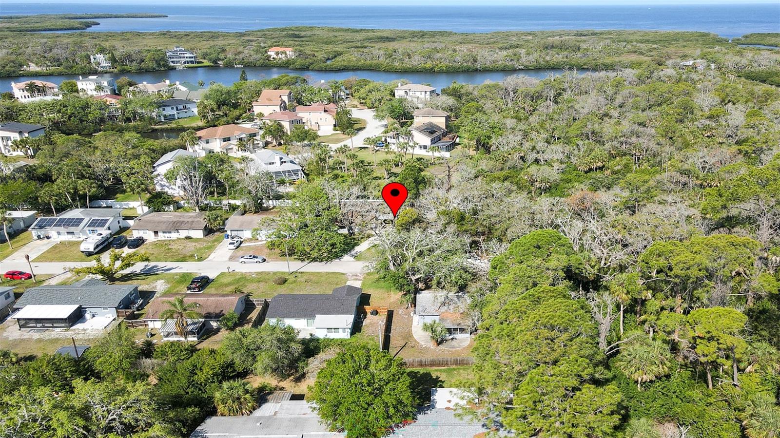 7331 DIANNE DR — photo 40