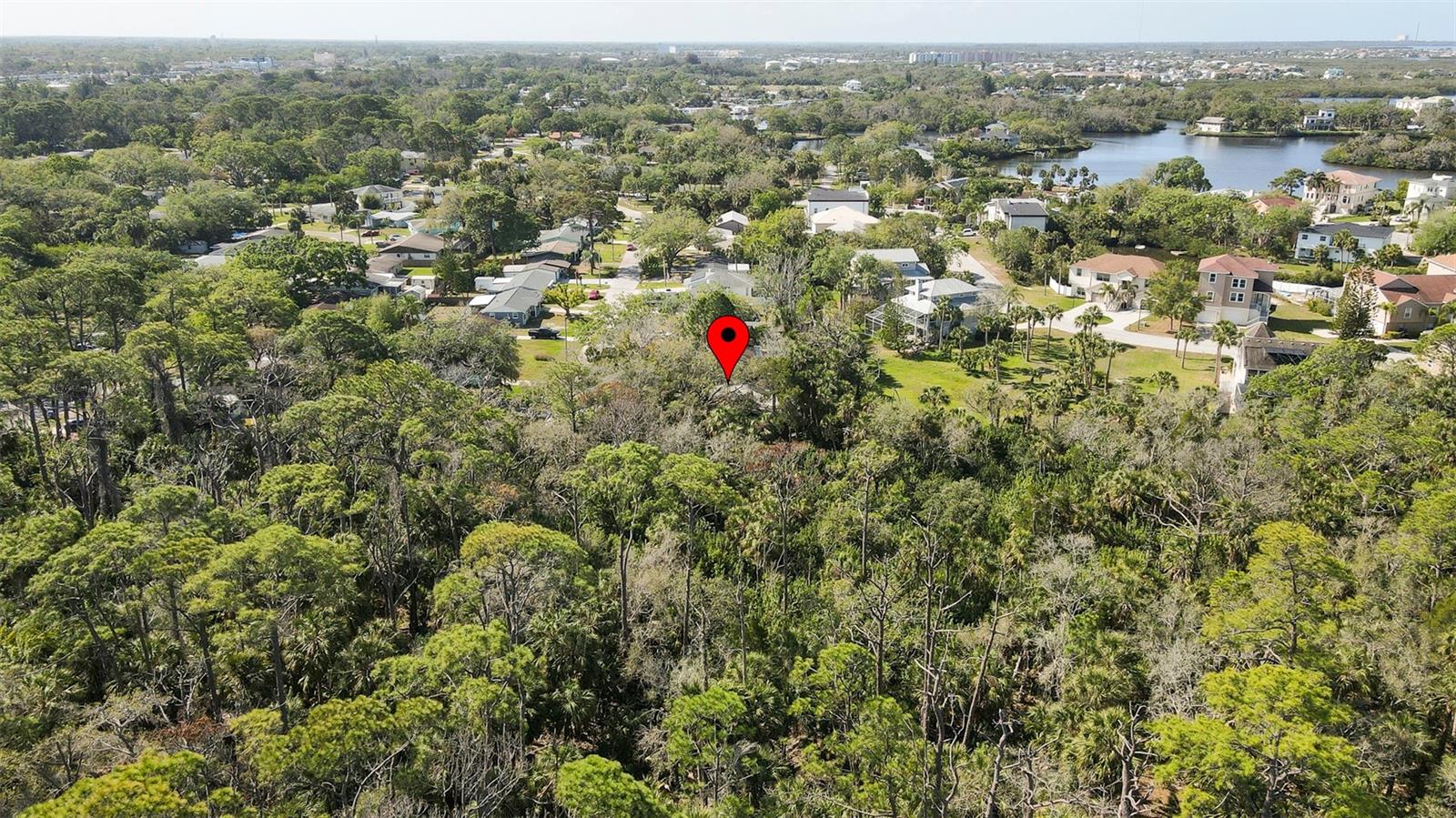 7331 DIANNE DR — photo 41