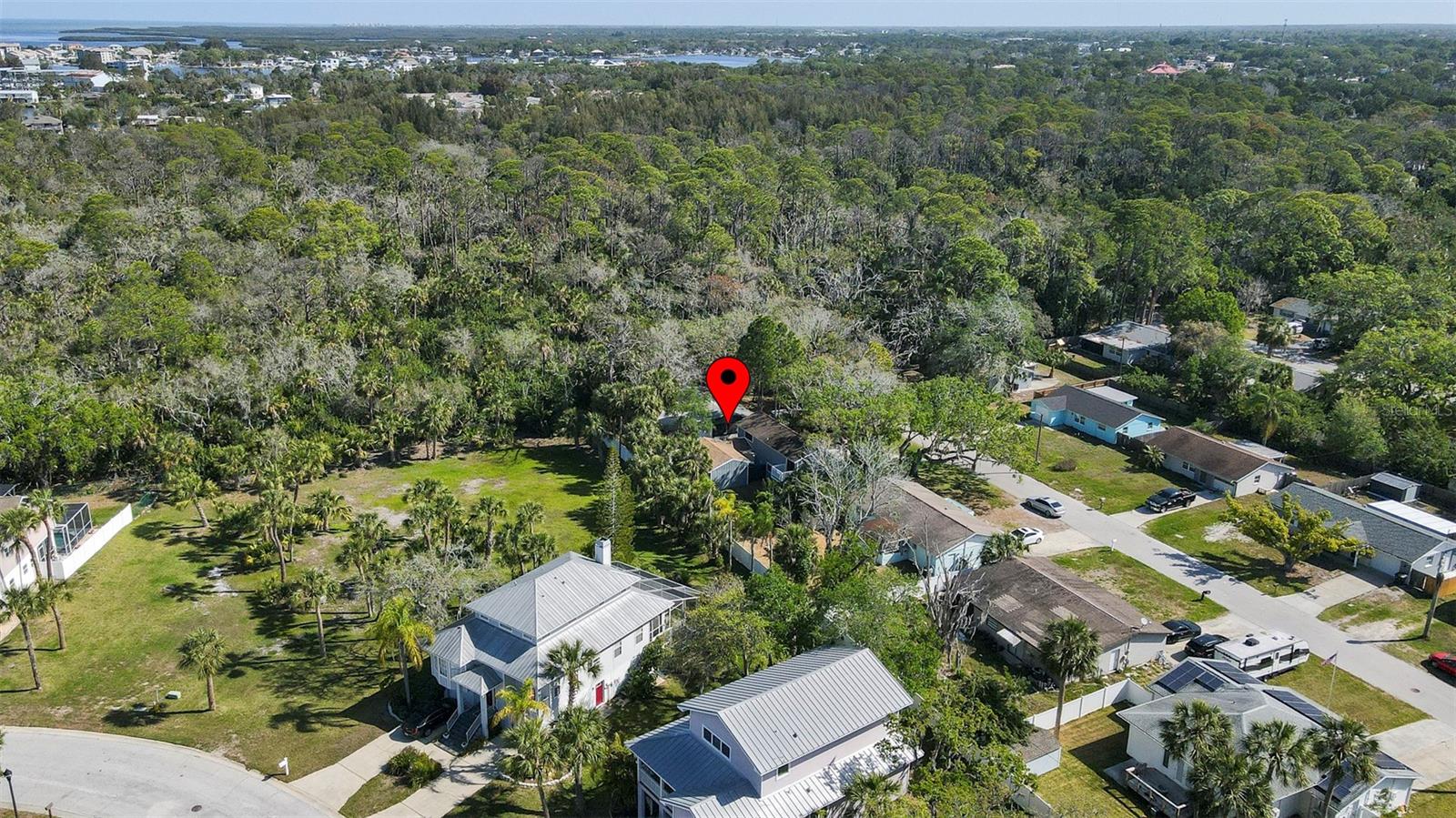 7331 DIANNE DR — photo 42