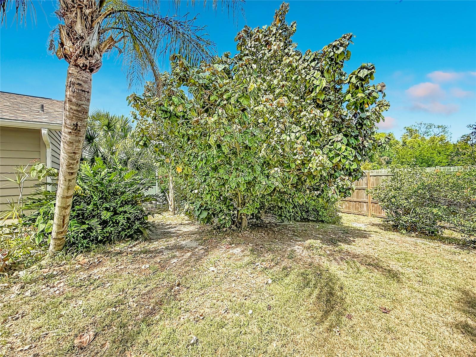 601 E SEMINOLE DR — photo 46