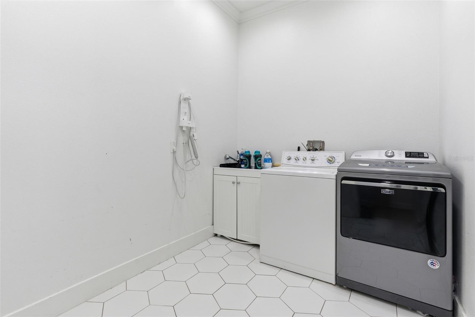 8241 CASS RD — photo 61