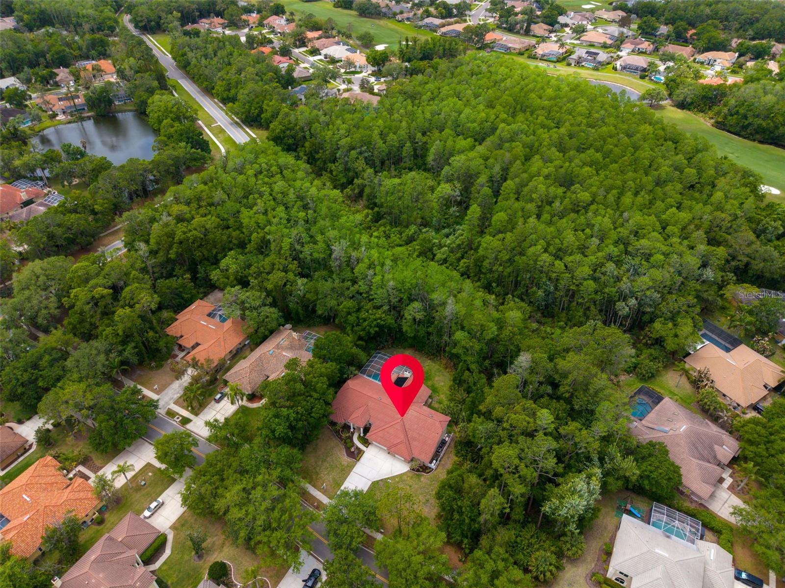 1404 EAST LAKE WOODLANDS PKWY — photo 82