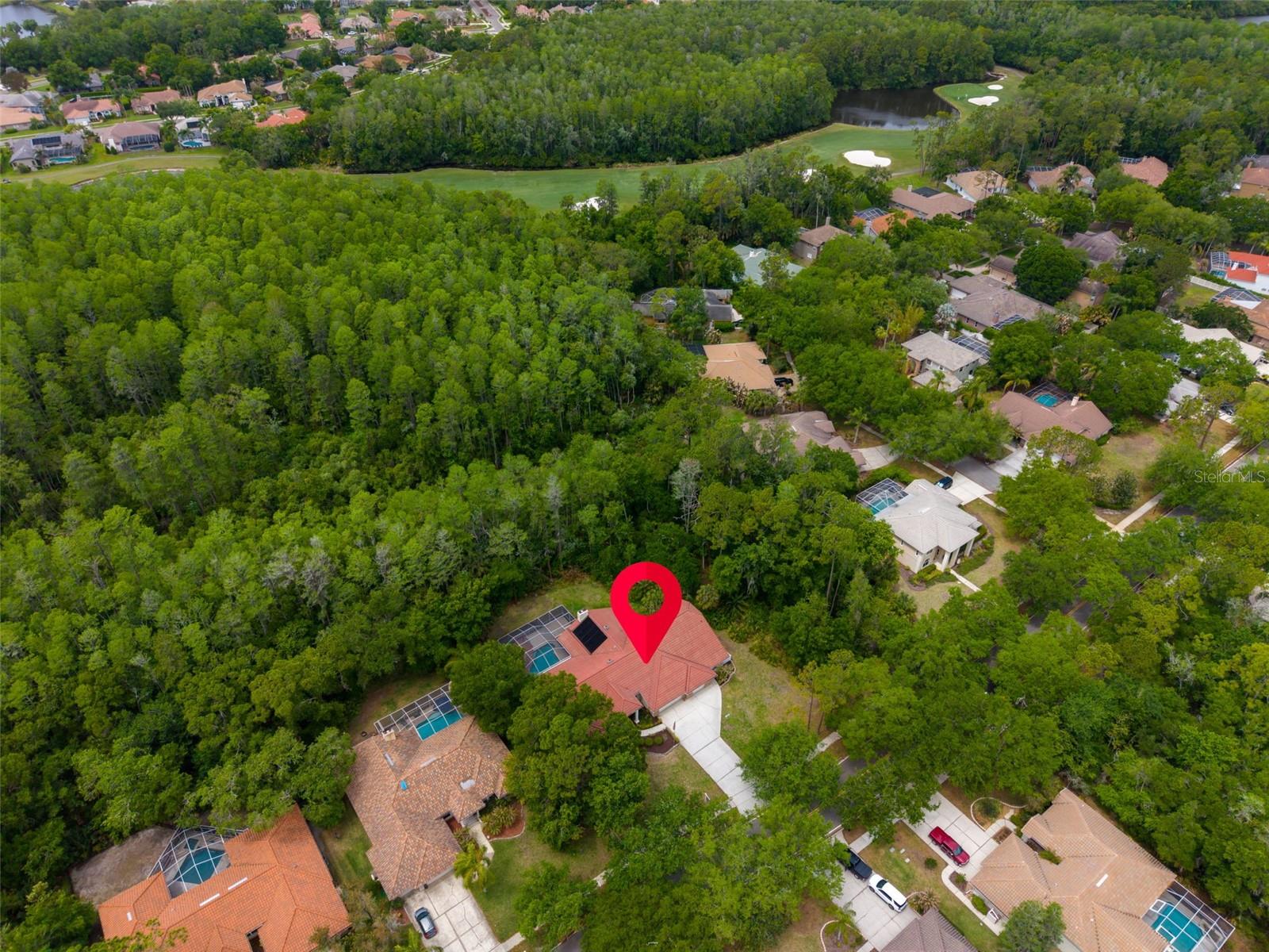 1404 EAST LAKE WOODLANDS PKWY — photo 84