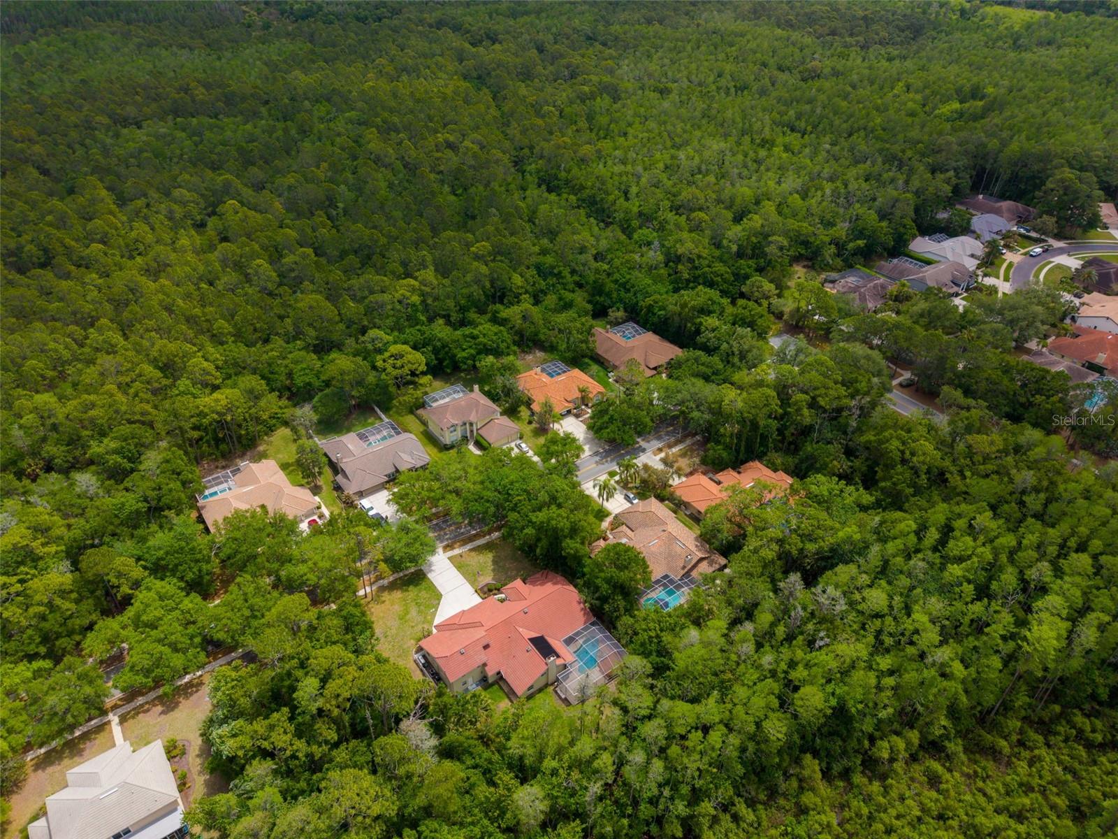 1404 EAST LAKE WOODLANDS PKWY — photo 77