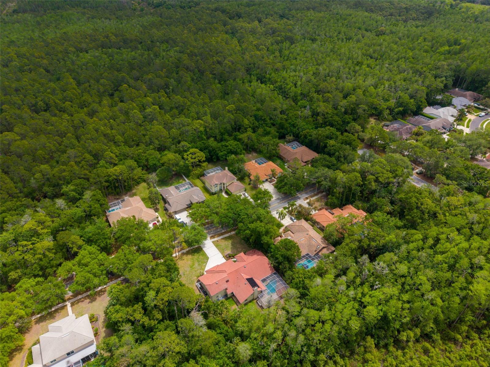 1404 EAST LAKE WOODLANDS PKWY — photo 79