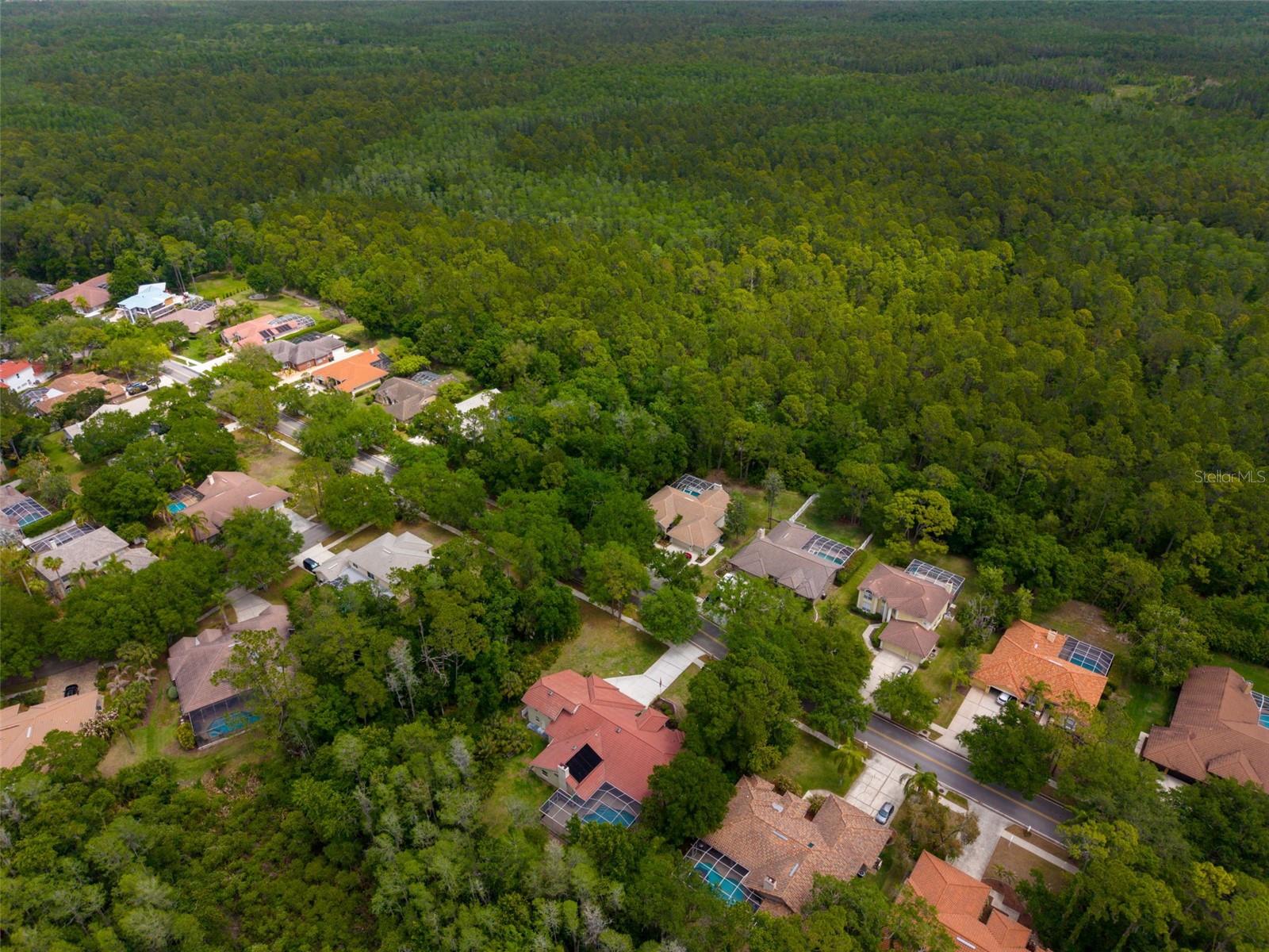 1404 EAST LAKE WOODLANDS PKWY — photo 81
