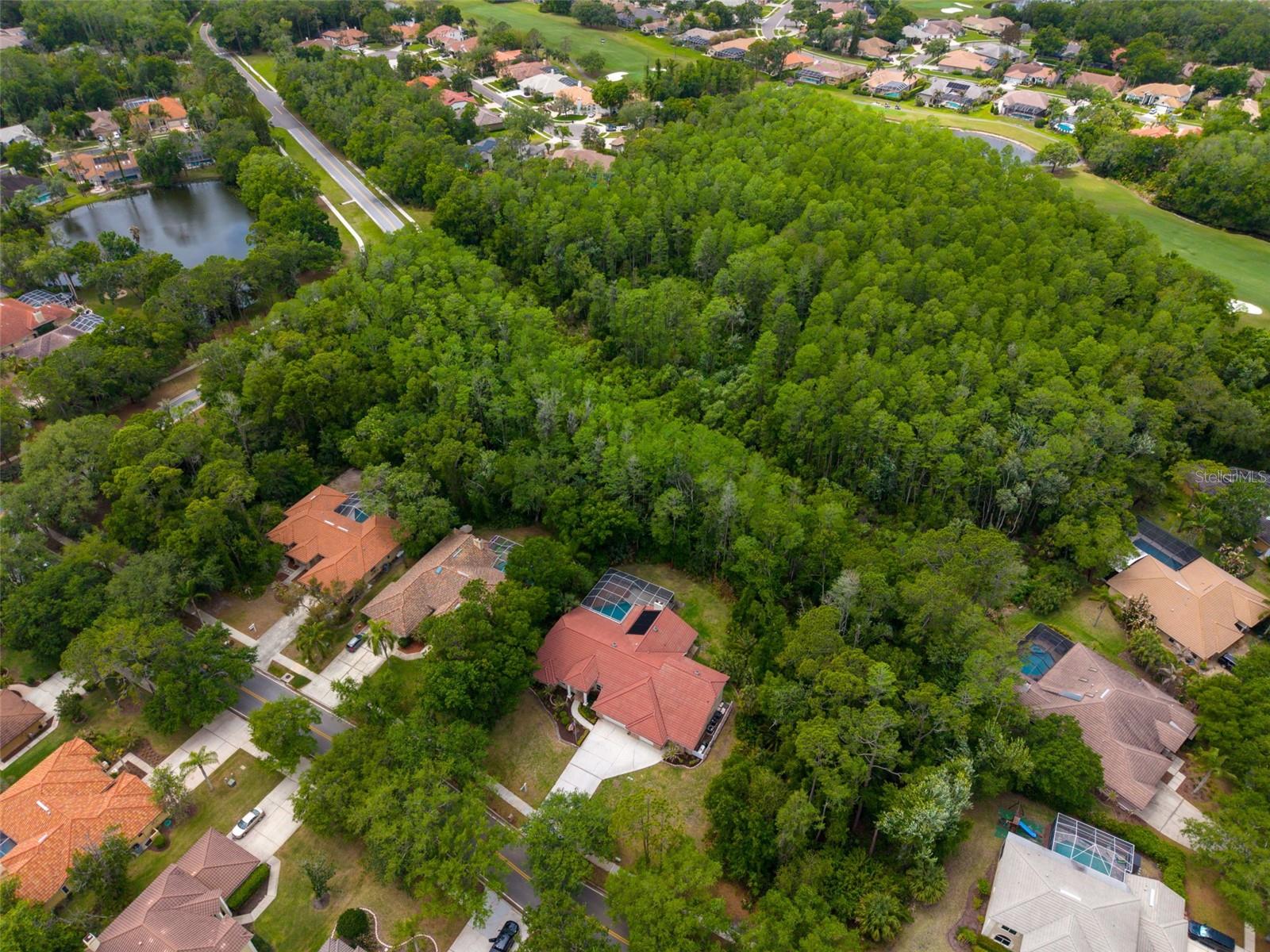 1404 EAST LAKE WOODLANDS PKWY — photo 83