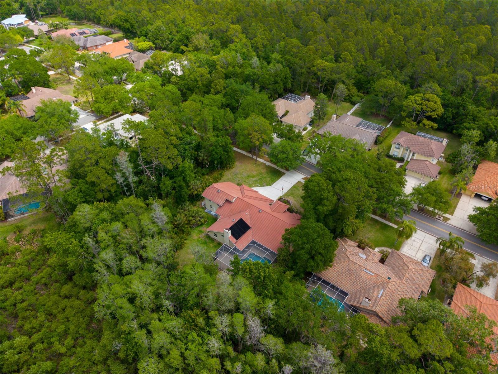 1404 EAST LAKE WOODLANDS PKWY — photo 74