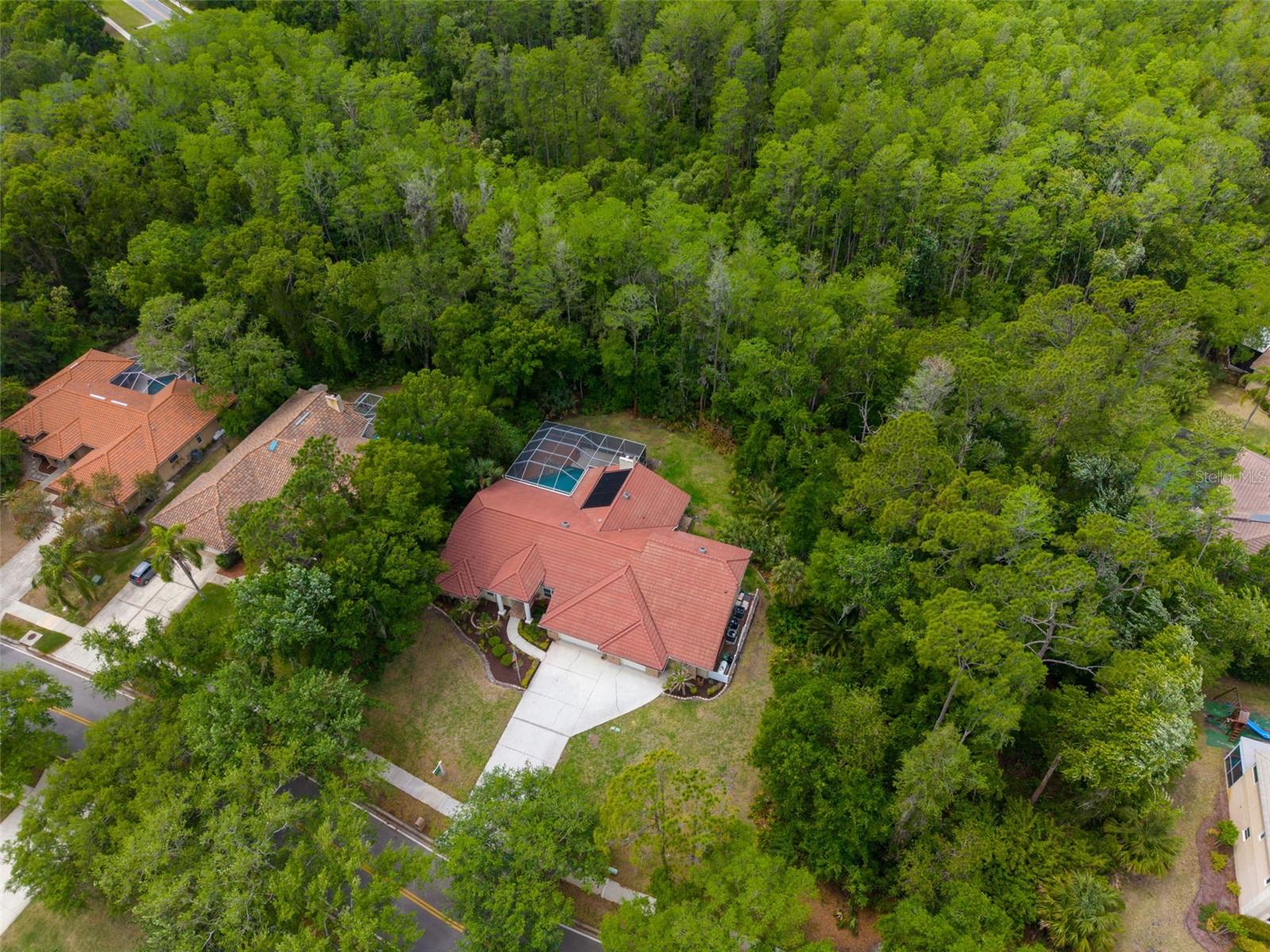 1404 EAST LAKE WOODLANDS PKWY — photo 73