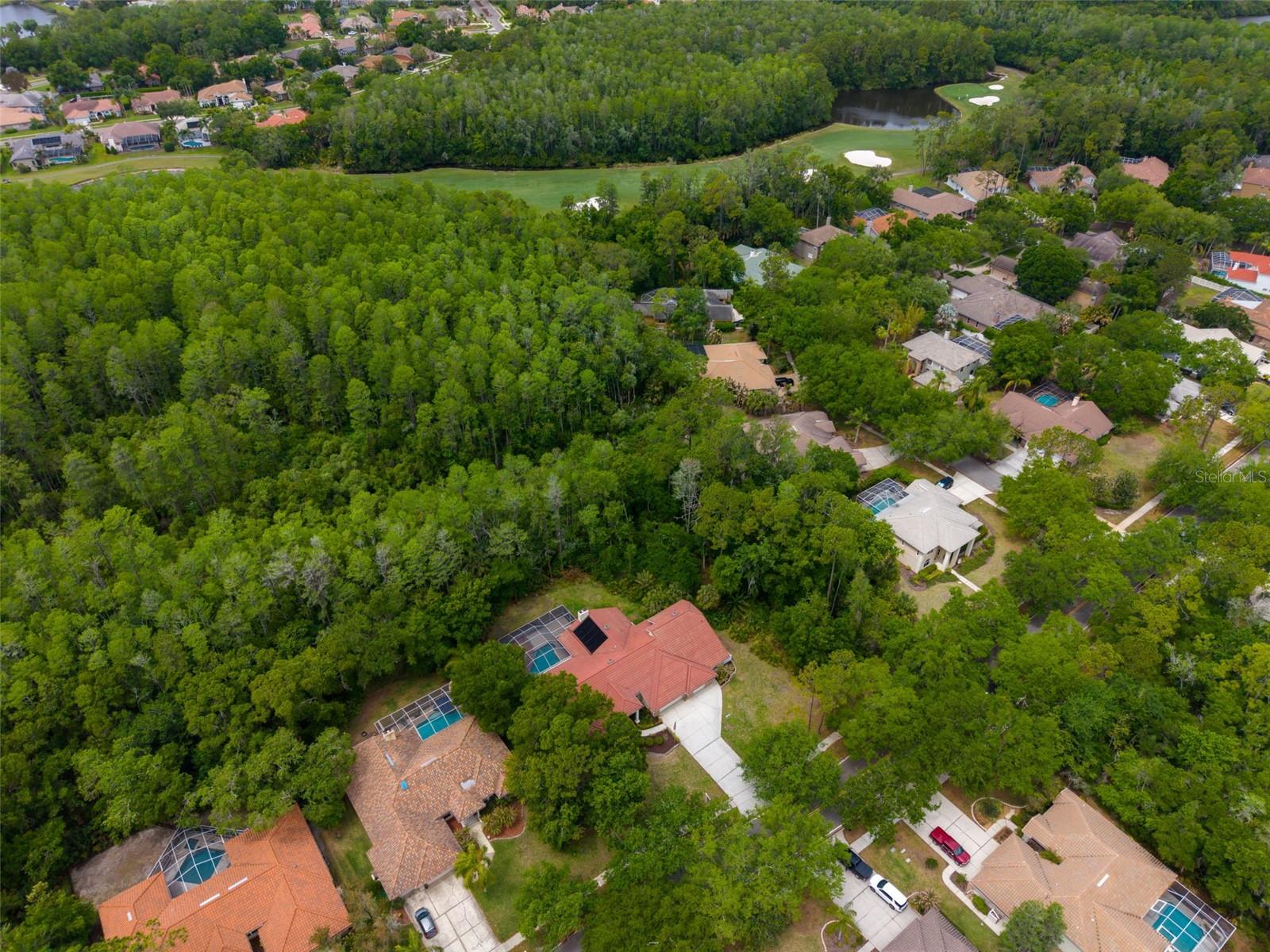 1404 EAST LAKE WOODLANDS PKWY — photo 85