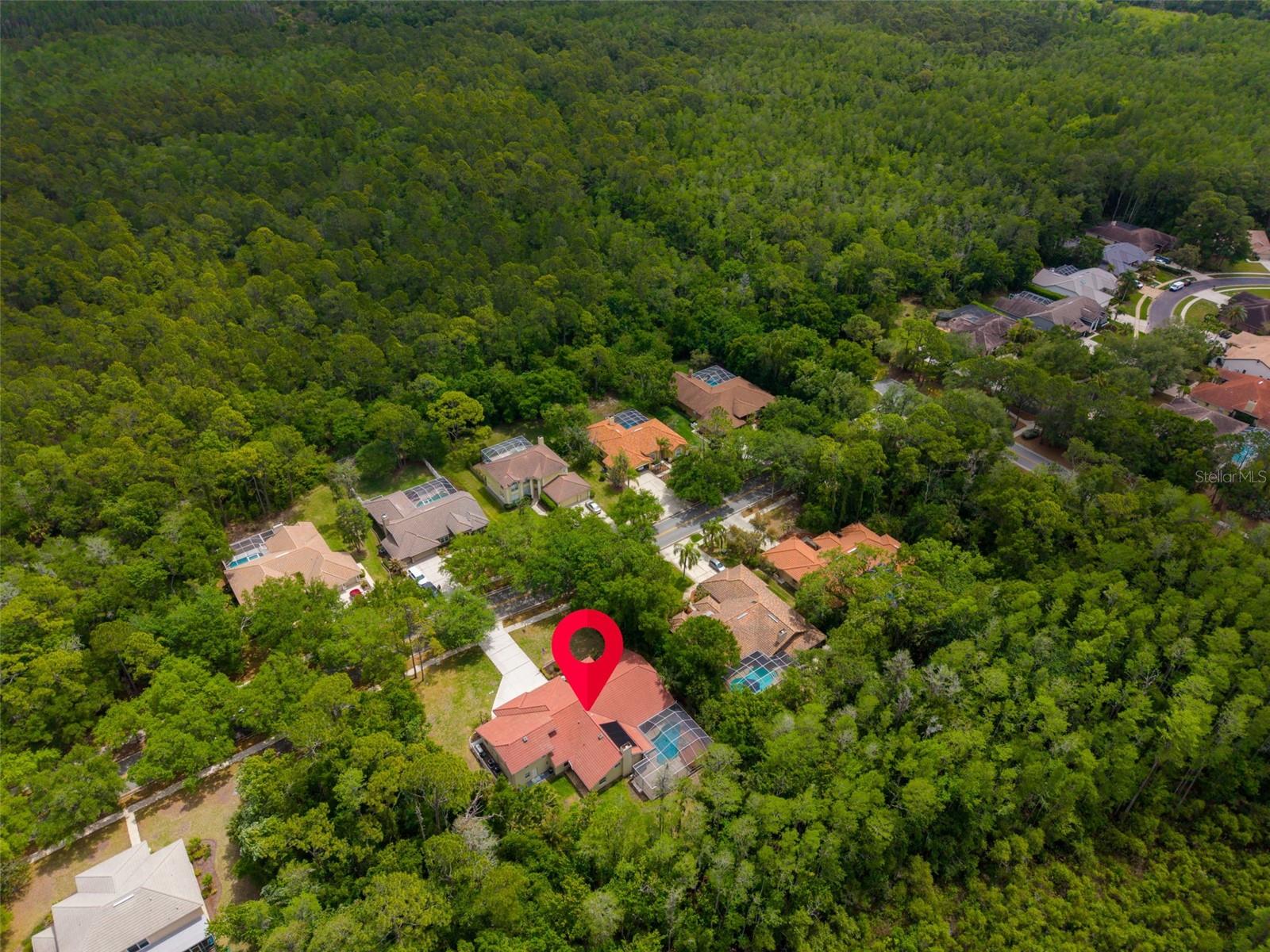 1404 EAST LAKE WOODLANDS PKWY — photo 76