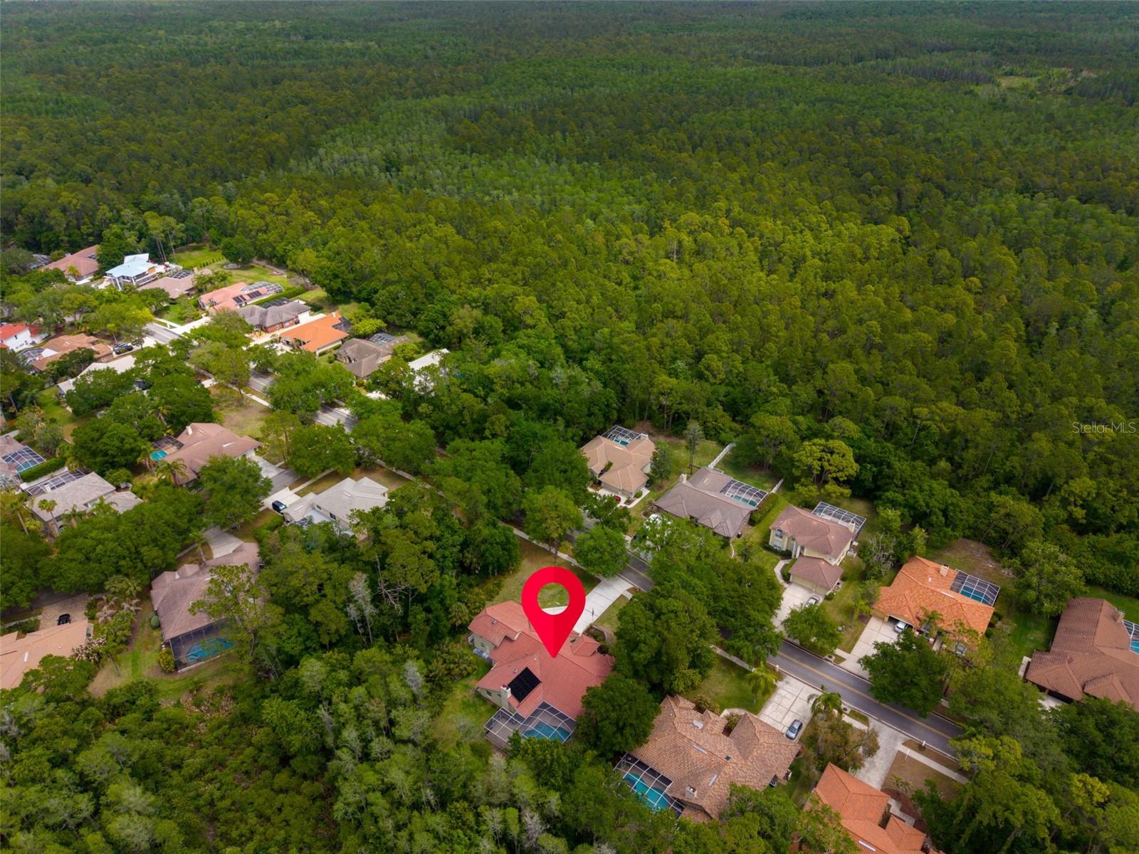 1404 EAST LAKE WOODLANDS PKWY — photo 80