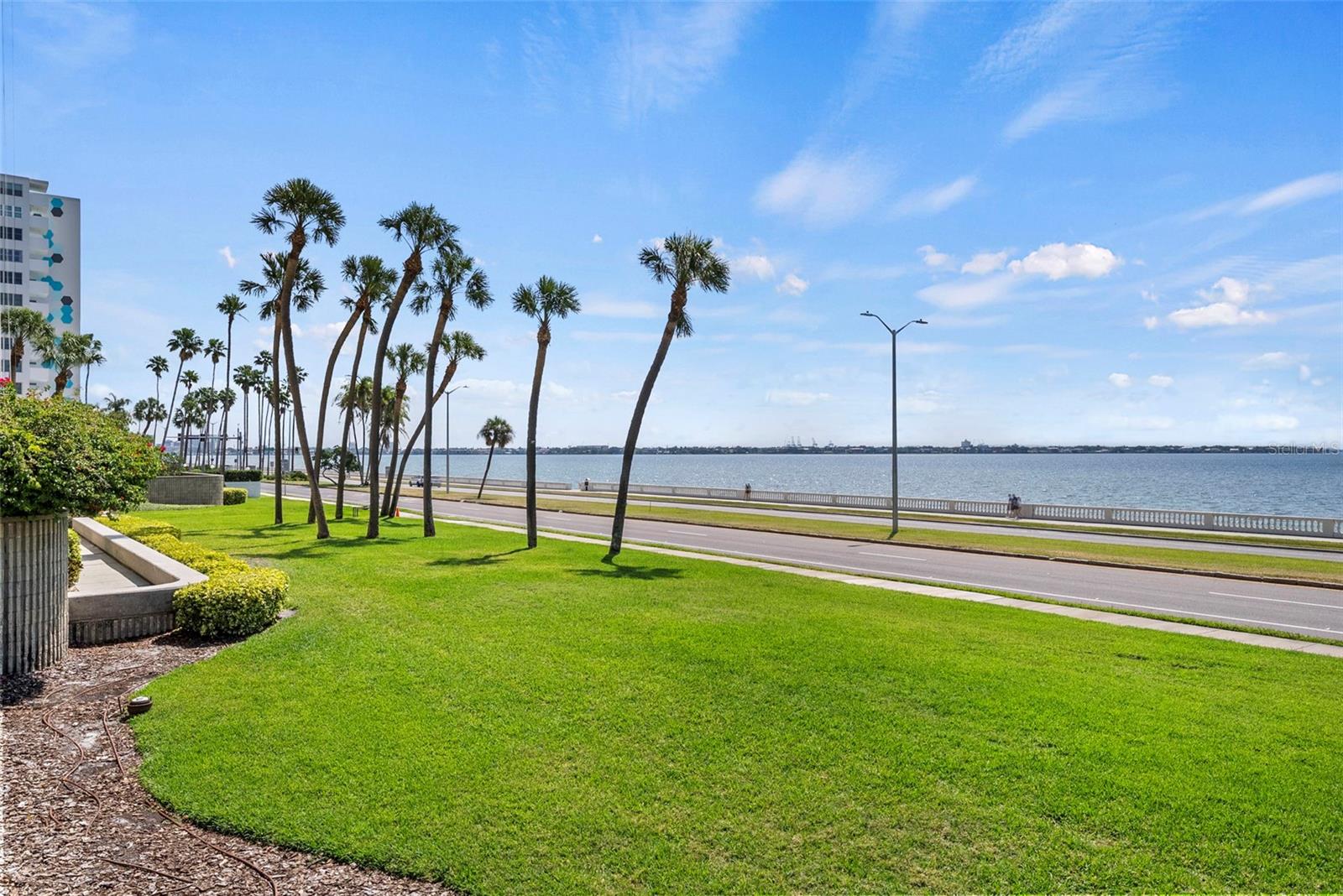 2413 BAYSHORE BLVD #803 — photo 92